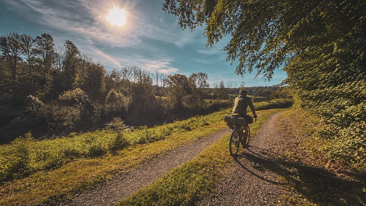 Un cycliste explore un chemin pittoresque bordé d'arbres sous un soleil brillant.