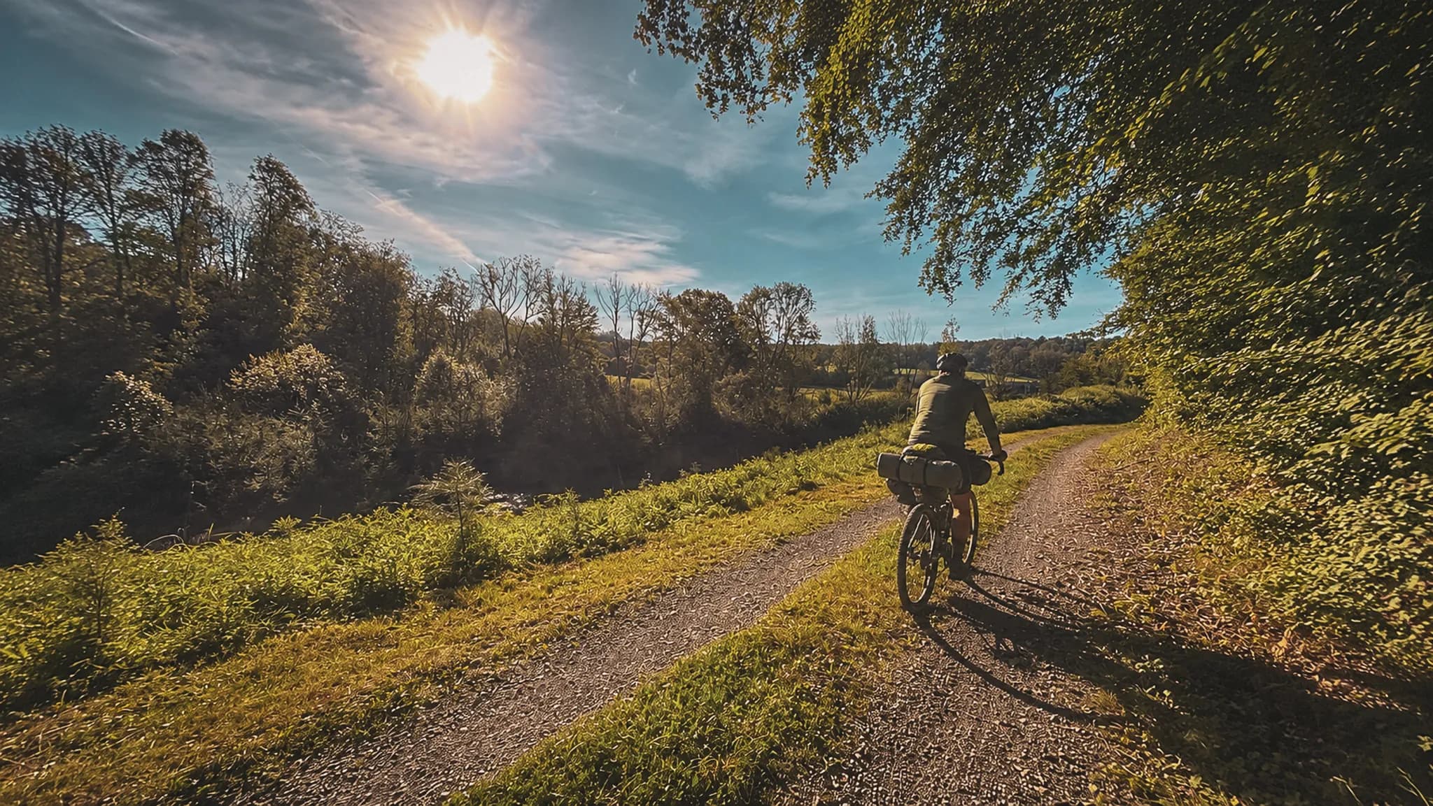 Un cycliste explore un chemin pittoresque bordé d'arbres sous un soleil brillant.