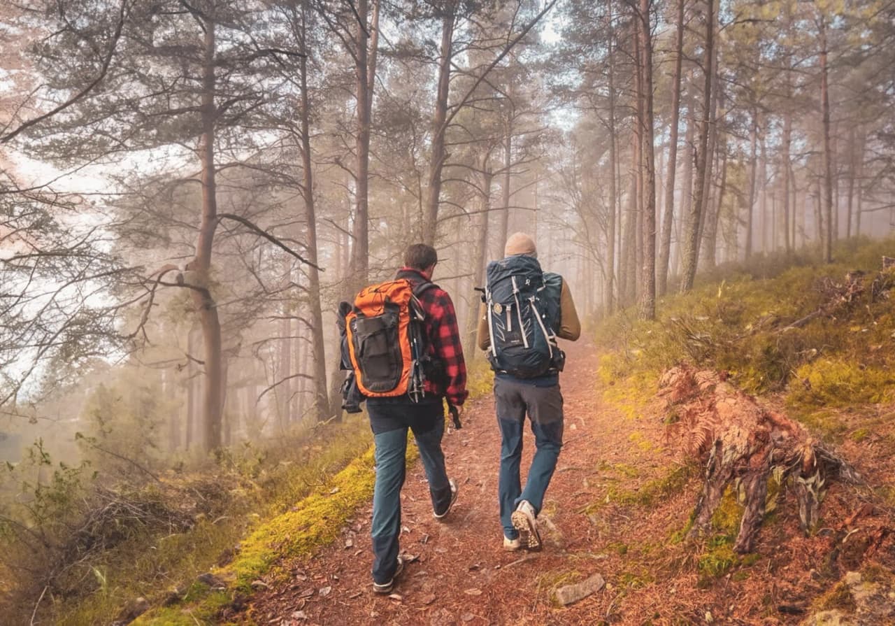 Deux randonneurs marchent sur un sentier forestier brumeux, immergés dans la nature vosgienne.