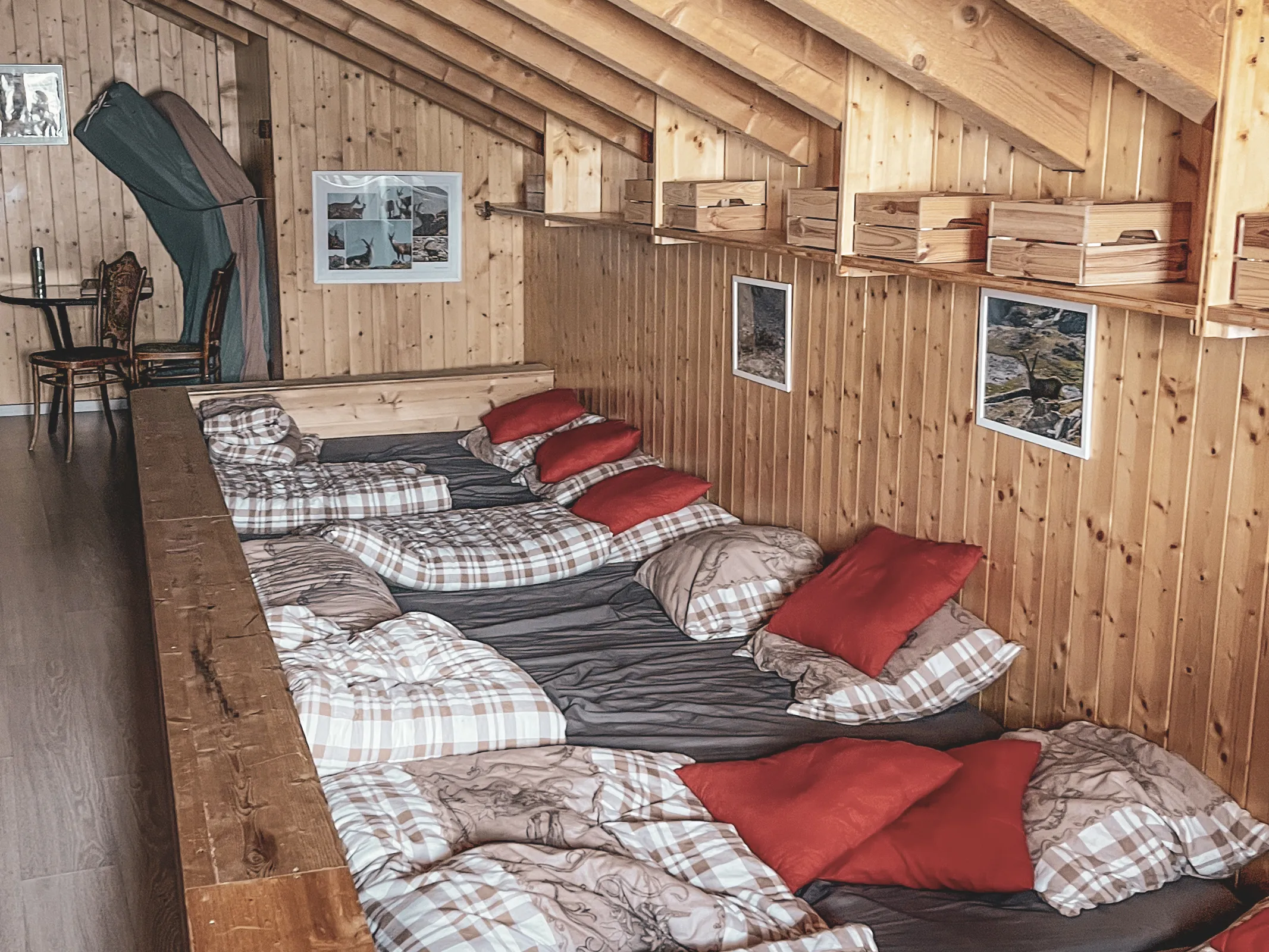 Un dortoir chaleureux en bois avec des coussins colorés, parfait pour se reposer après une journée de ski.