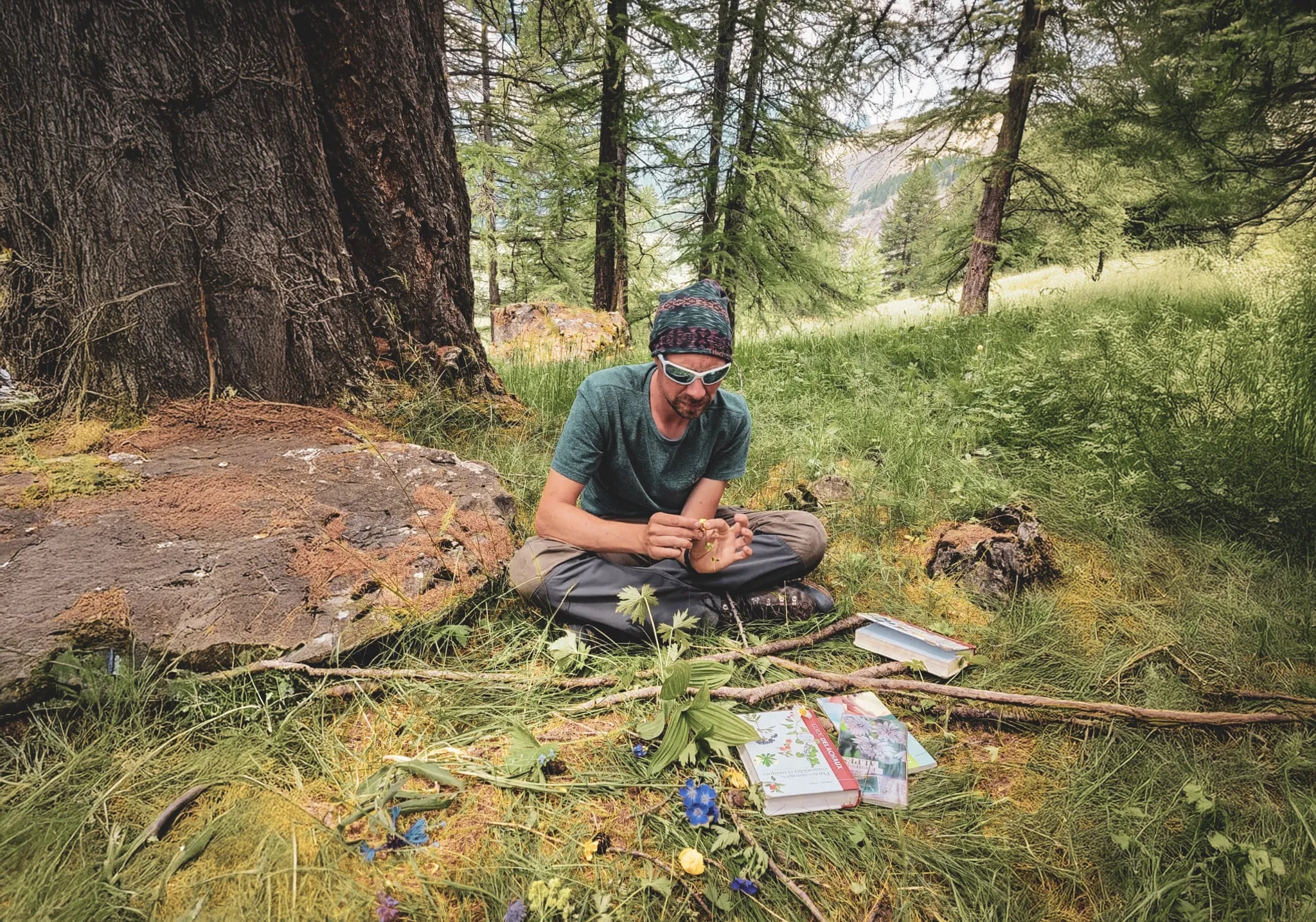 Un aventurier se découvre en pleine nature alpine, entouré de plantes et de livres de botanique.