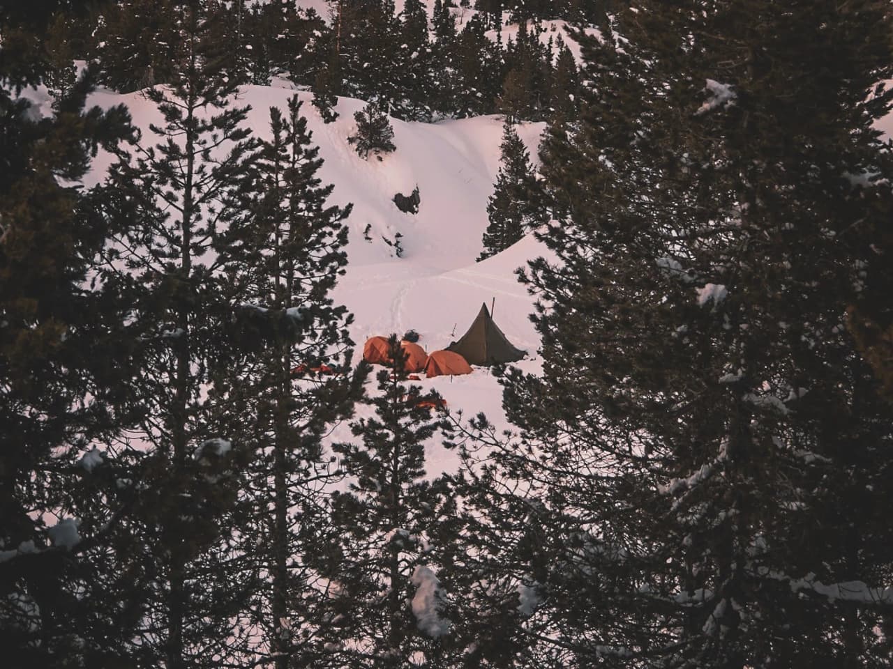 Kamperen in een tipi, omringd door sneeuw en dennenbomen, in het ongerepte Vercors-gebergte.
