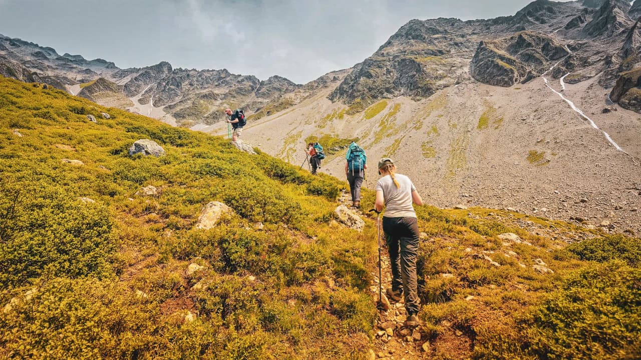 A group of hikers crossing a wild, green mountain landscape.