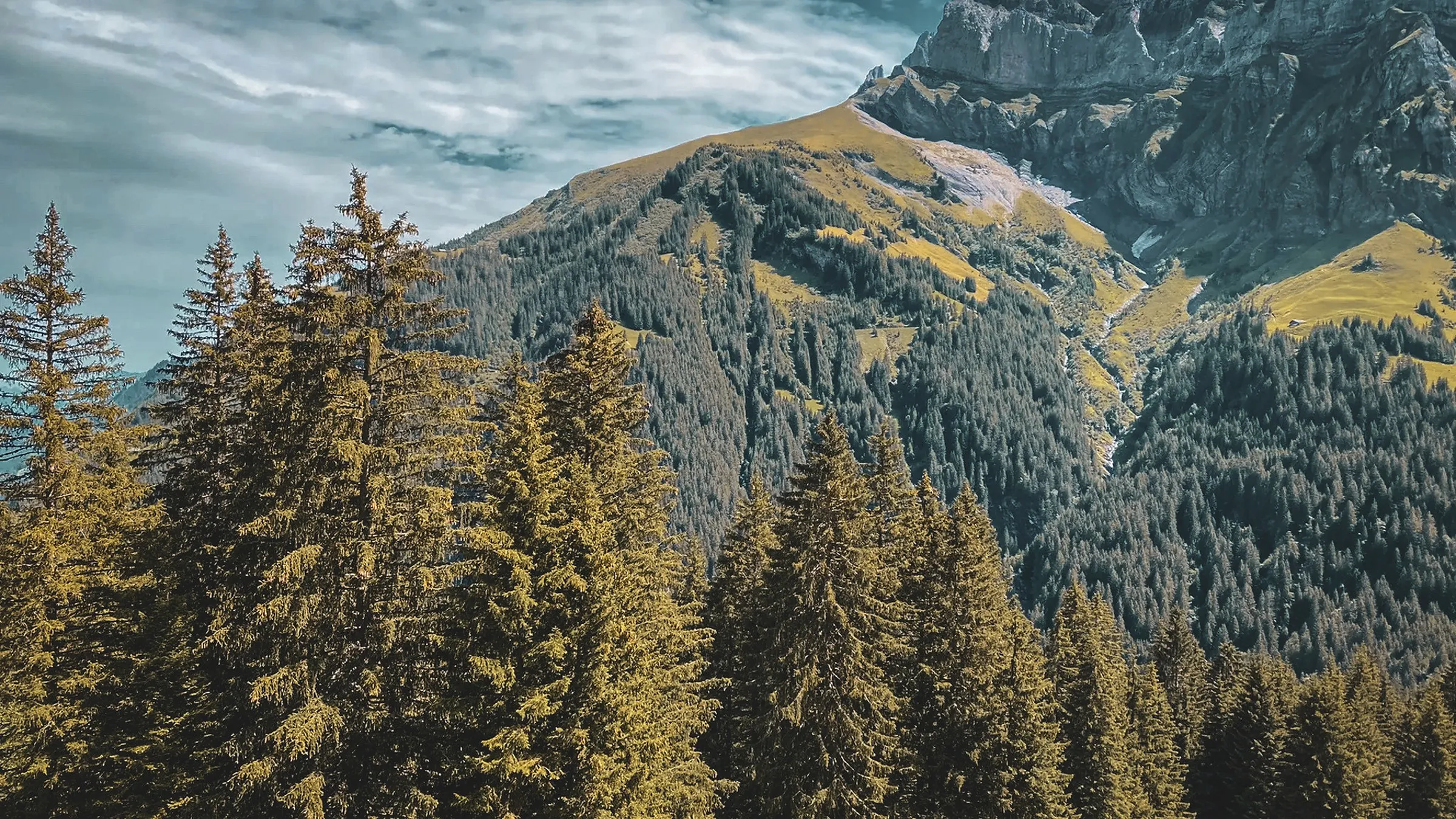 Montagnes majestueuses entourées de forêts denses et de paysages alpins époustouflants.