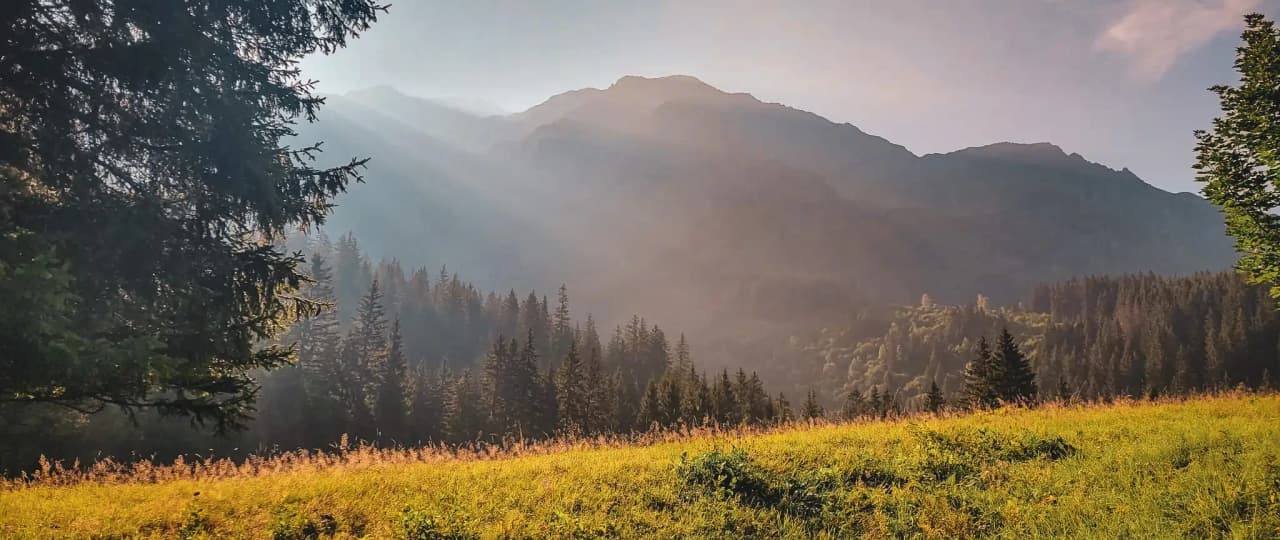 A mountainous landscape bathed in light, surrounded by green forests and golden meadows.