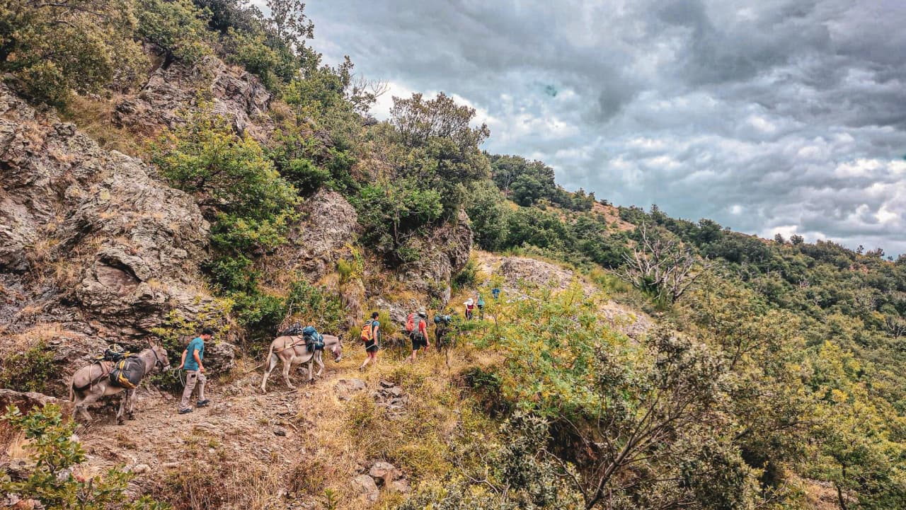 A group of adventurers trekking in the Cévennes, accompanied by donkeys under dramatic skies.
