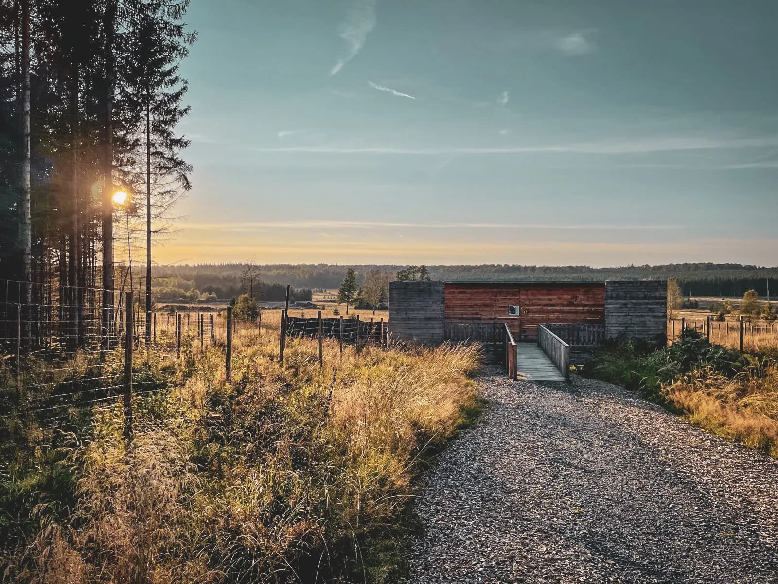 Une allée bordée d'arbres menant à un abri en bois, baignée par la lumière dorée du coucher de soleil.