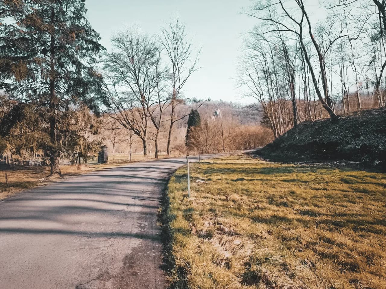 A winding path lined with trees in early spring, an invitation to adventure in the heart of nature.