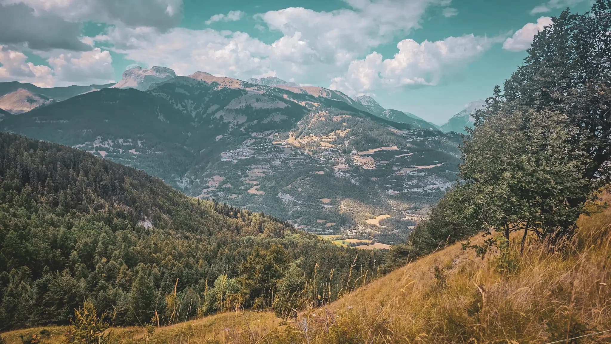 Een adembenemend panorama van de Alpen, tussen weelderige groene bossen en majestueuze bergtoppen.