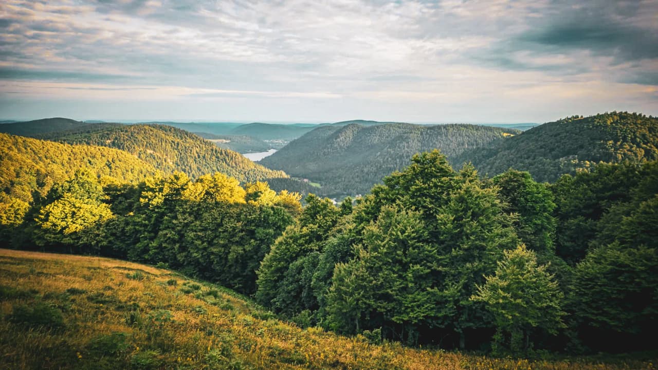 A panorama of the green ridges of the Vosges, perfect for hiking and stargazing.