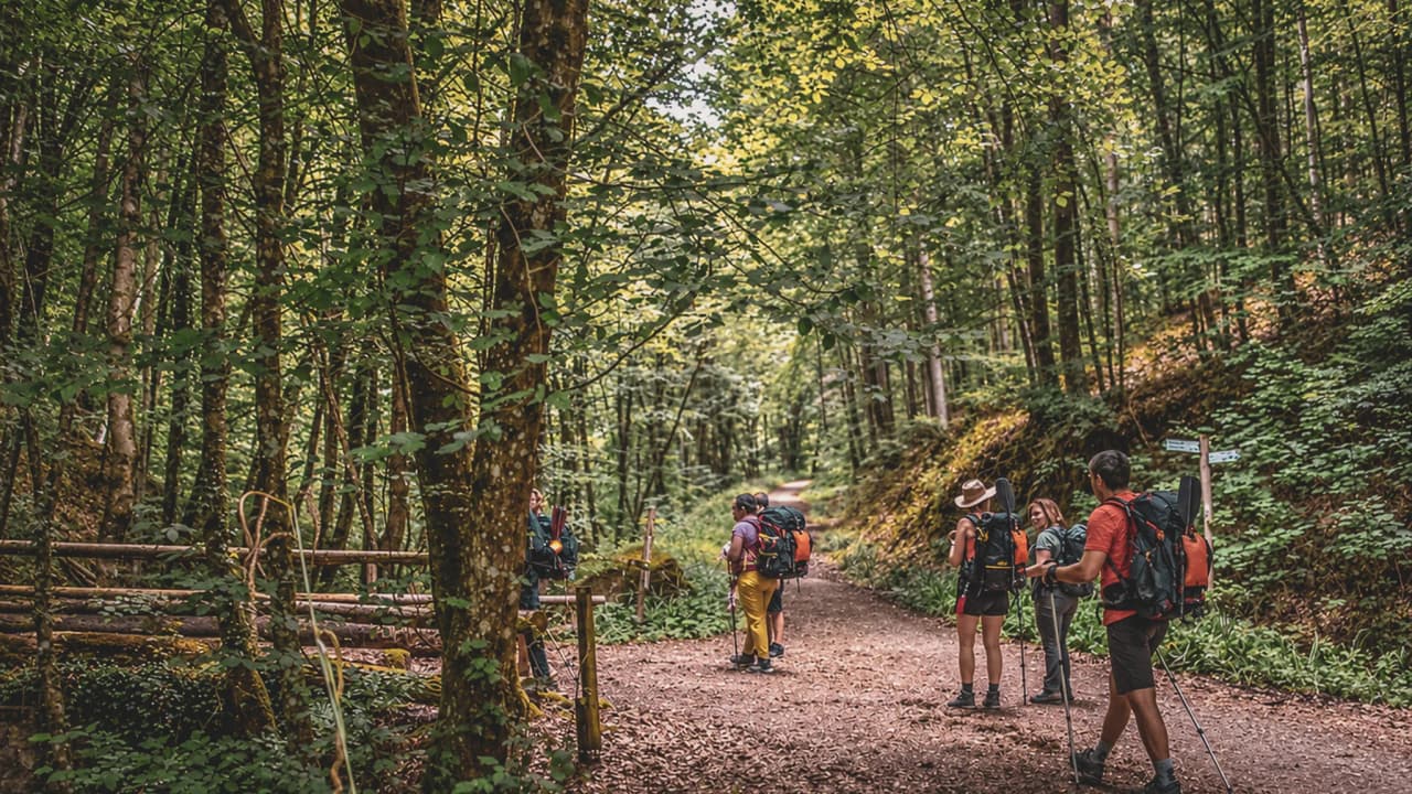 Een groep avonturiers in het bos, klaar voor een wandeling door de betoverende landschappen van het Mullerthal.