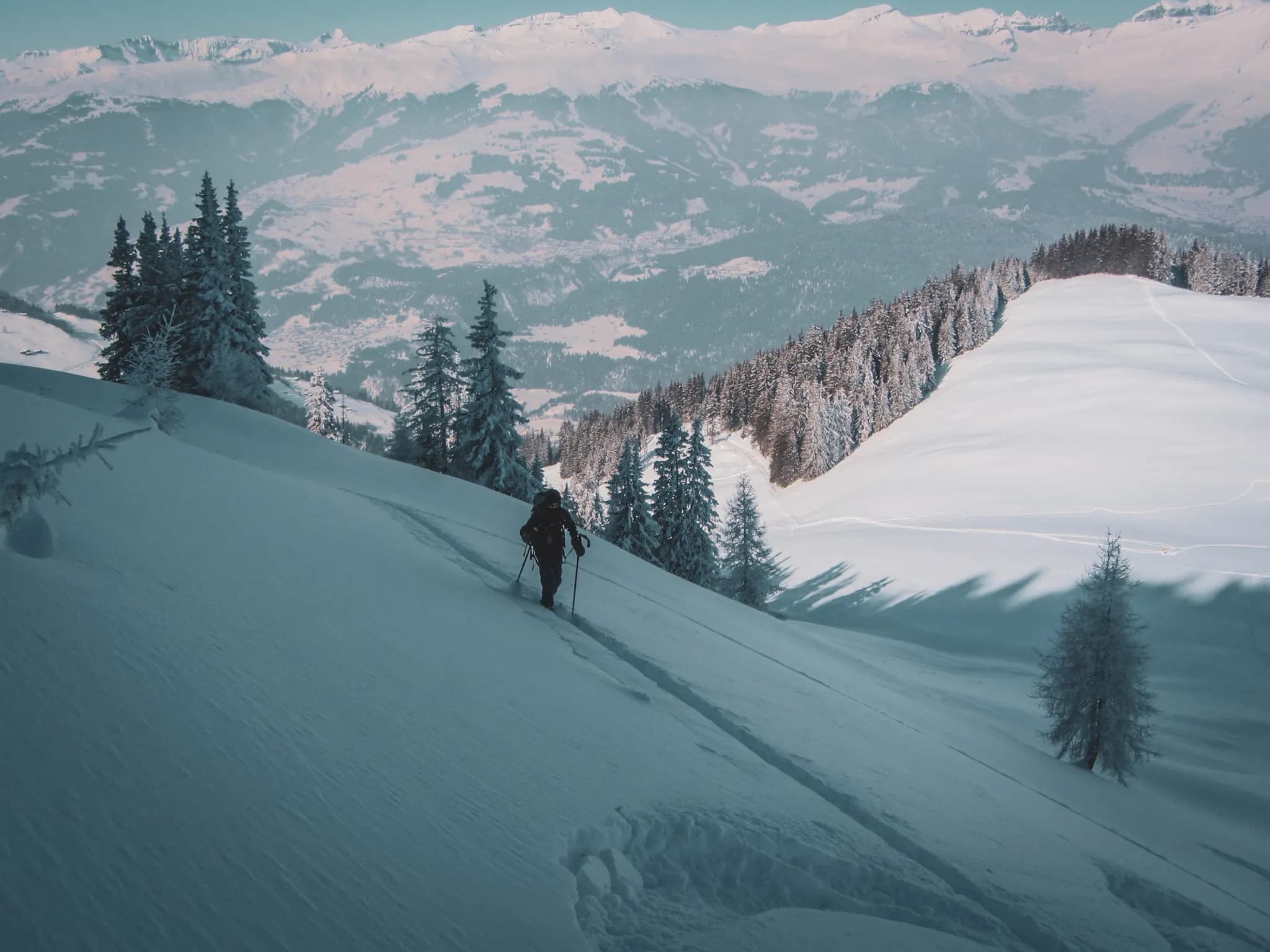 A snowshoe hiker explores a snow-covered landscape in the Vosges, surrounded by majestic fir trees.