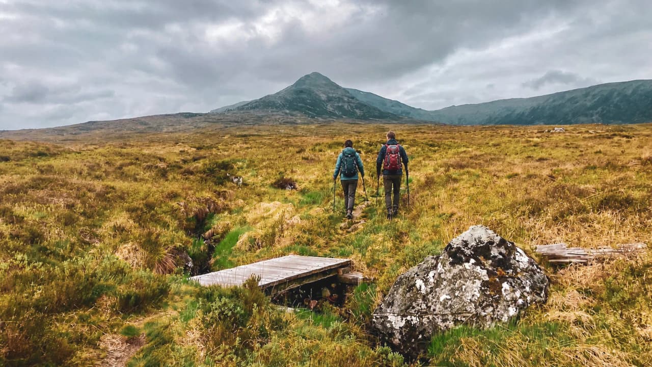 Uitgestrekte gouden weiden onder een bewolkte hemel, met de toppen van de Highlands op de achtergrond.