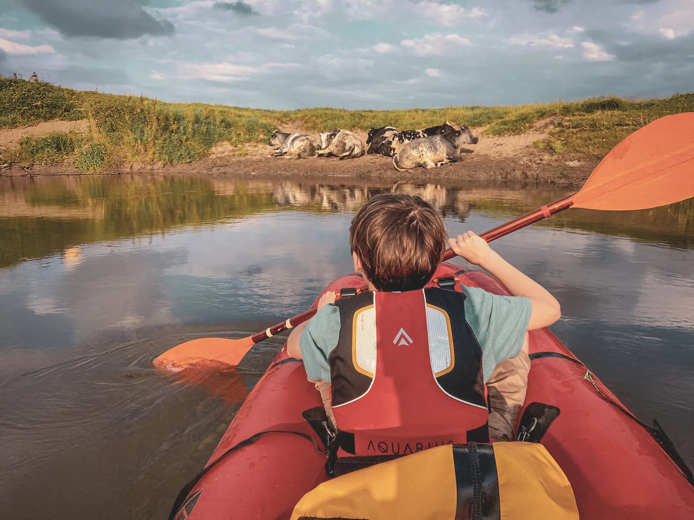 A child paddles along in a packraft, watching cows on the bank of a peaceful river.