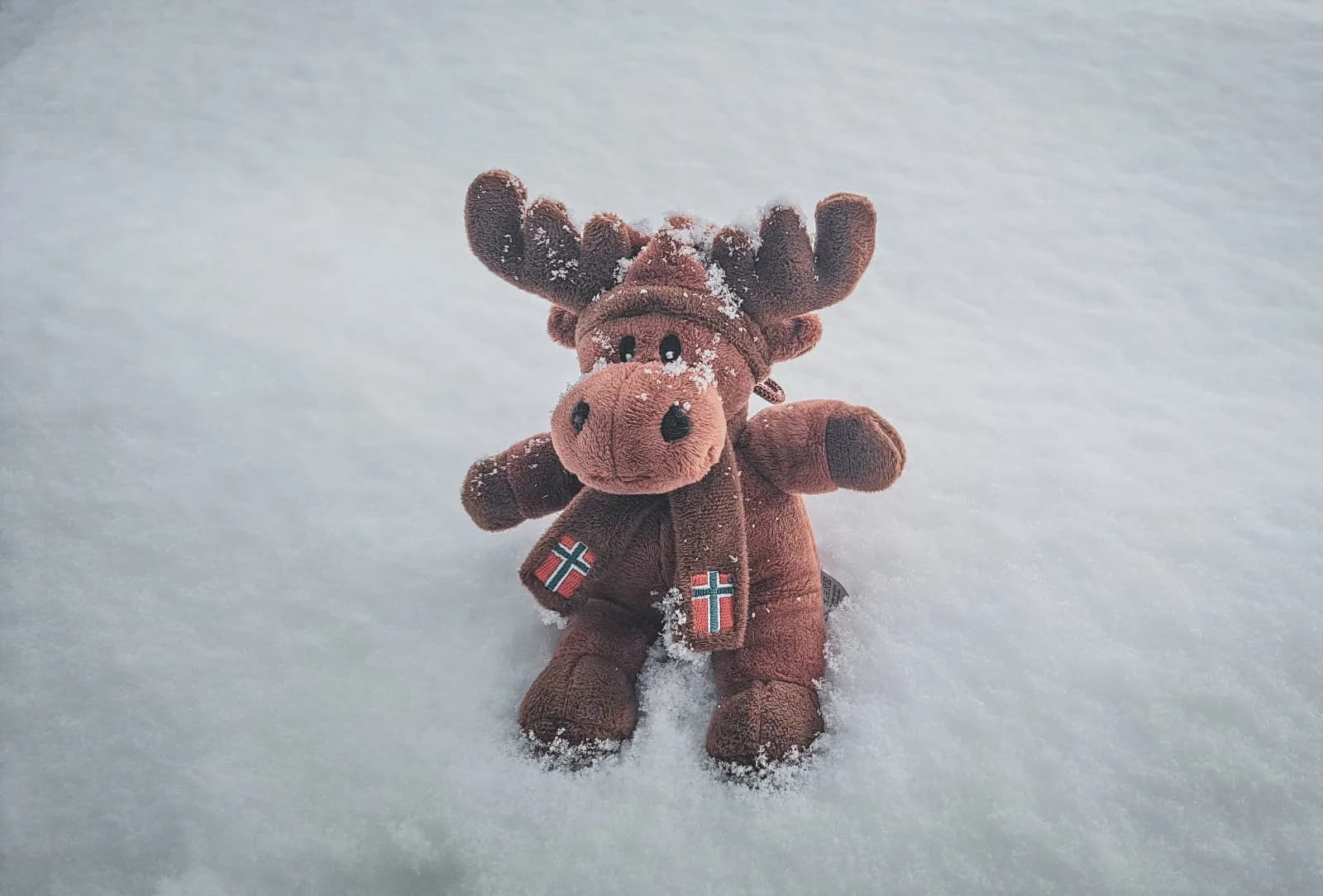 Een schattige kleine pluchen eland in een sjaal, liggend op een bed van glinsterende sneeuw.