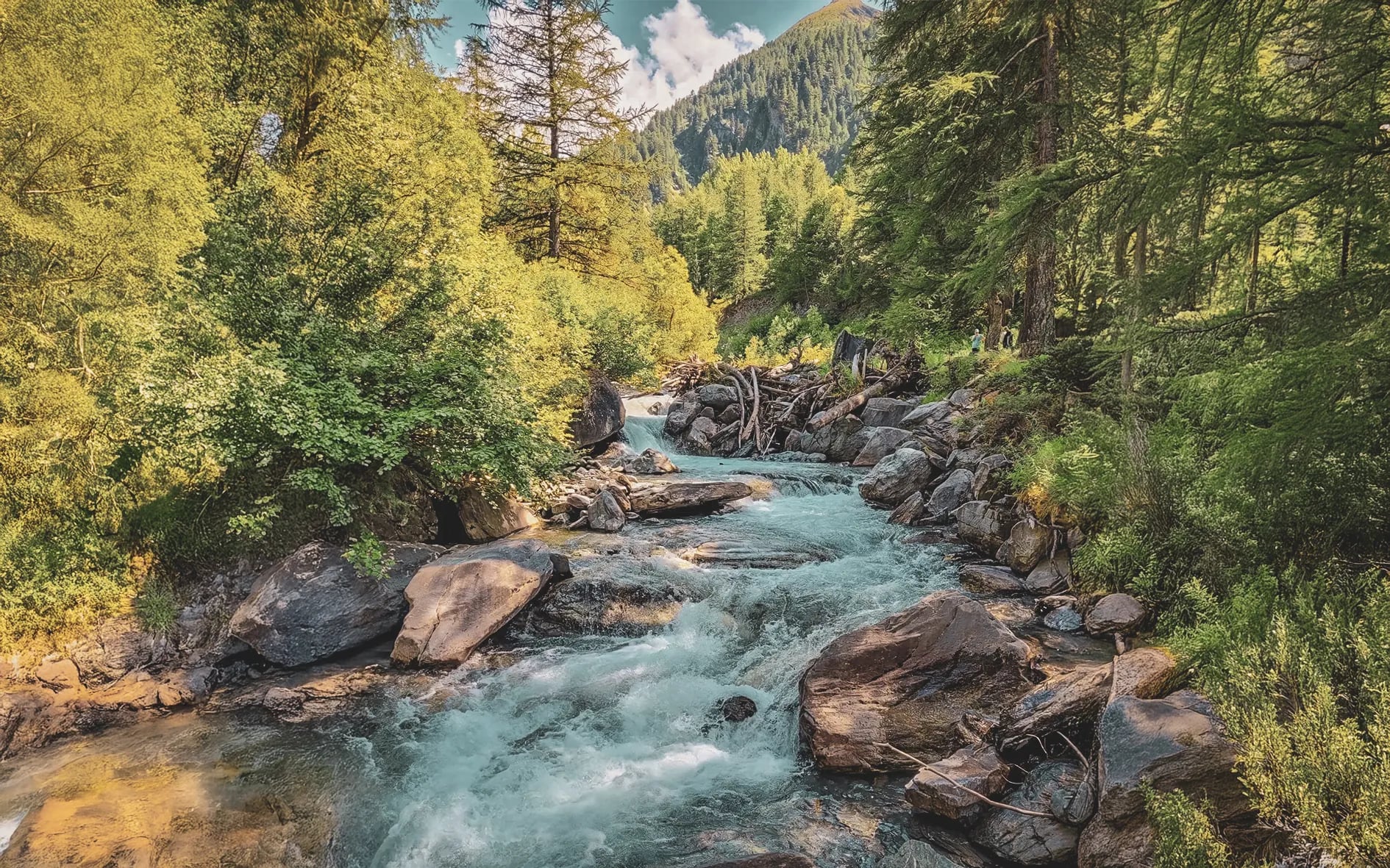 Un ruisseau cristallin serpente entre des rochers, entouré d'une forêt verdoyante et de montagnes majestueuses.