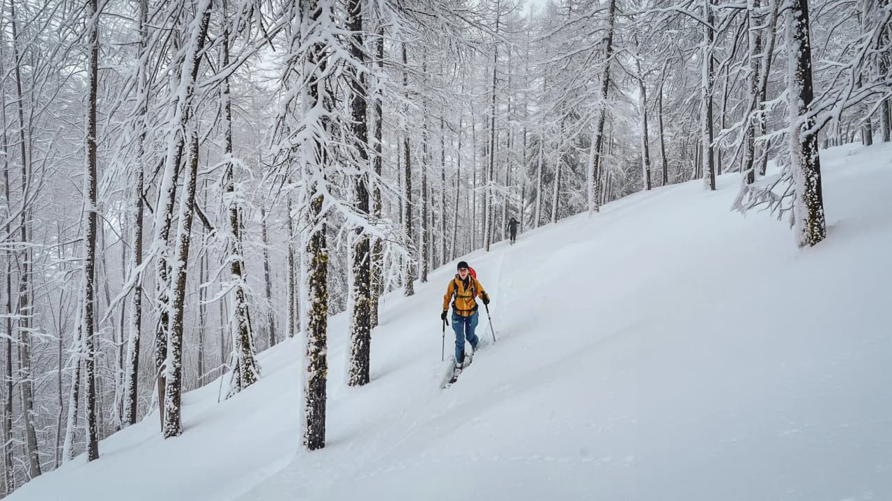 Un skieur s'aventure dans une forêt enneigée, offrant un paysage magique et apaisant.