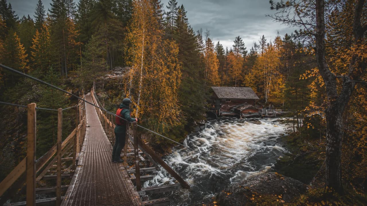 Pont suspendu au-dessus d'une rivière tumultueuse, entouré d'arbres aux couleurs d'automne.