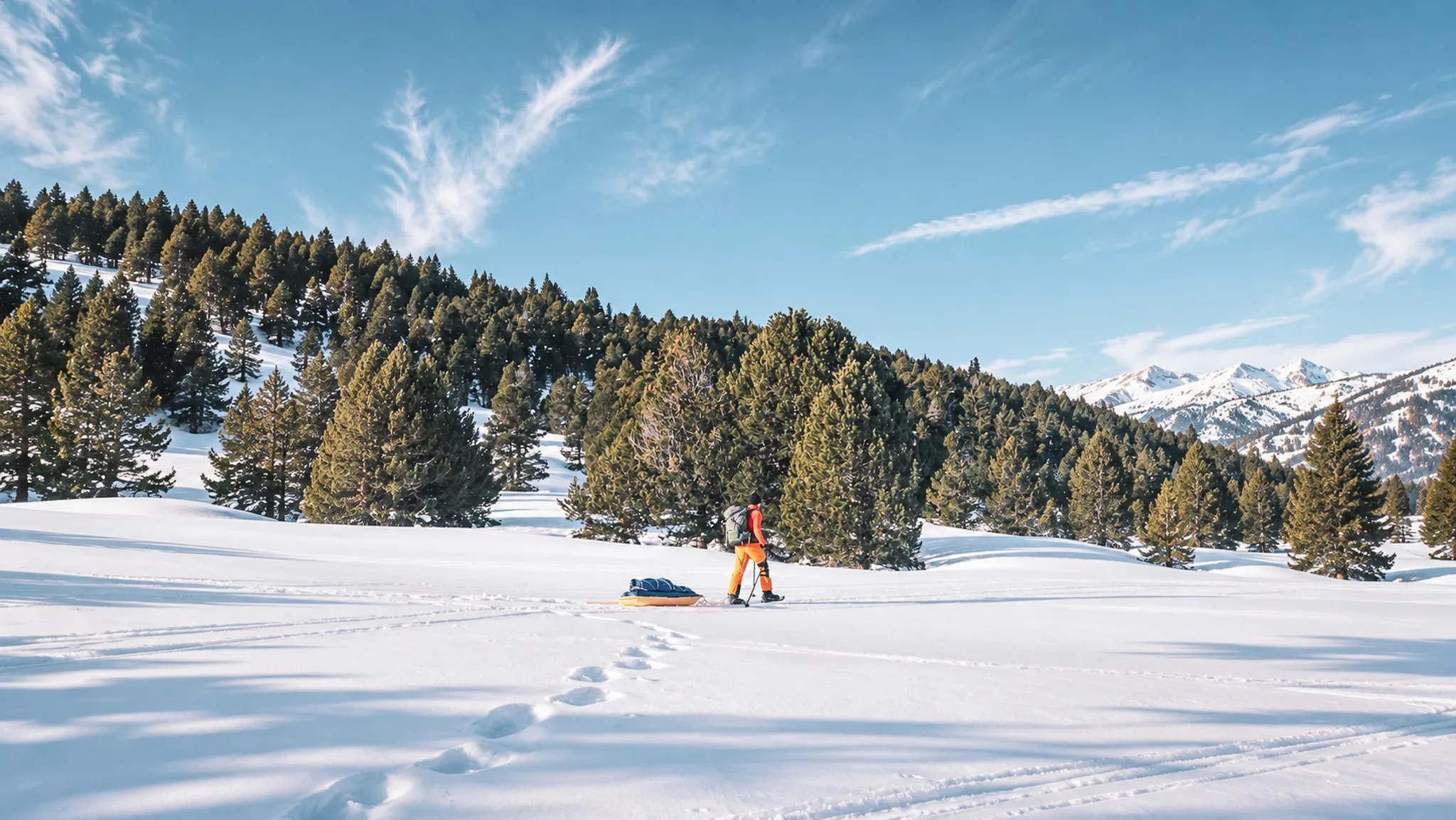 Un aventurier tire une pulka sur la neige immaculée, entouré de sapins majestueux et de montagnes.