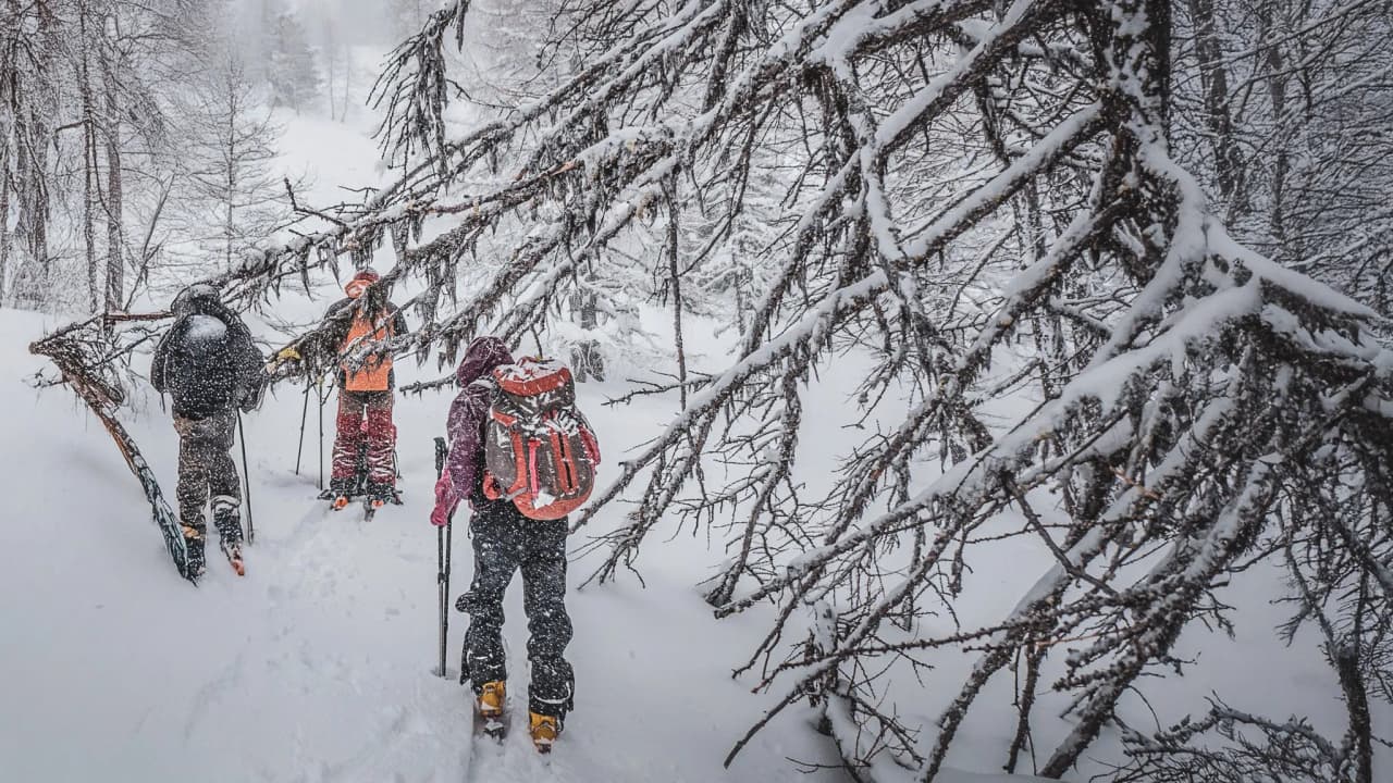 Trois skieurs explorent un paysage enneigé, sous des branches chargées de neige, dans le Queyras.