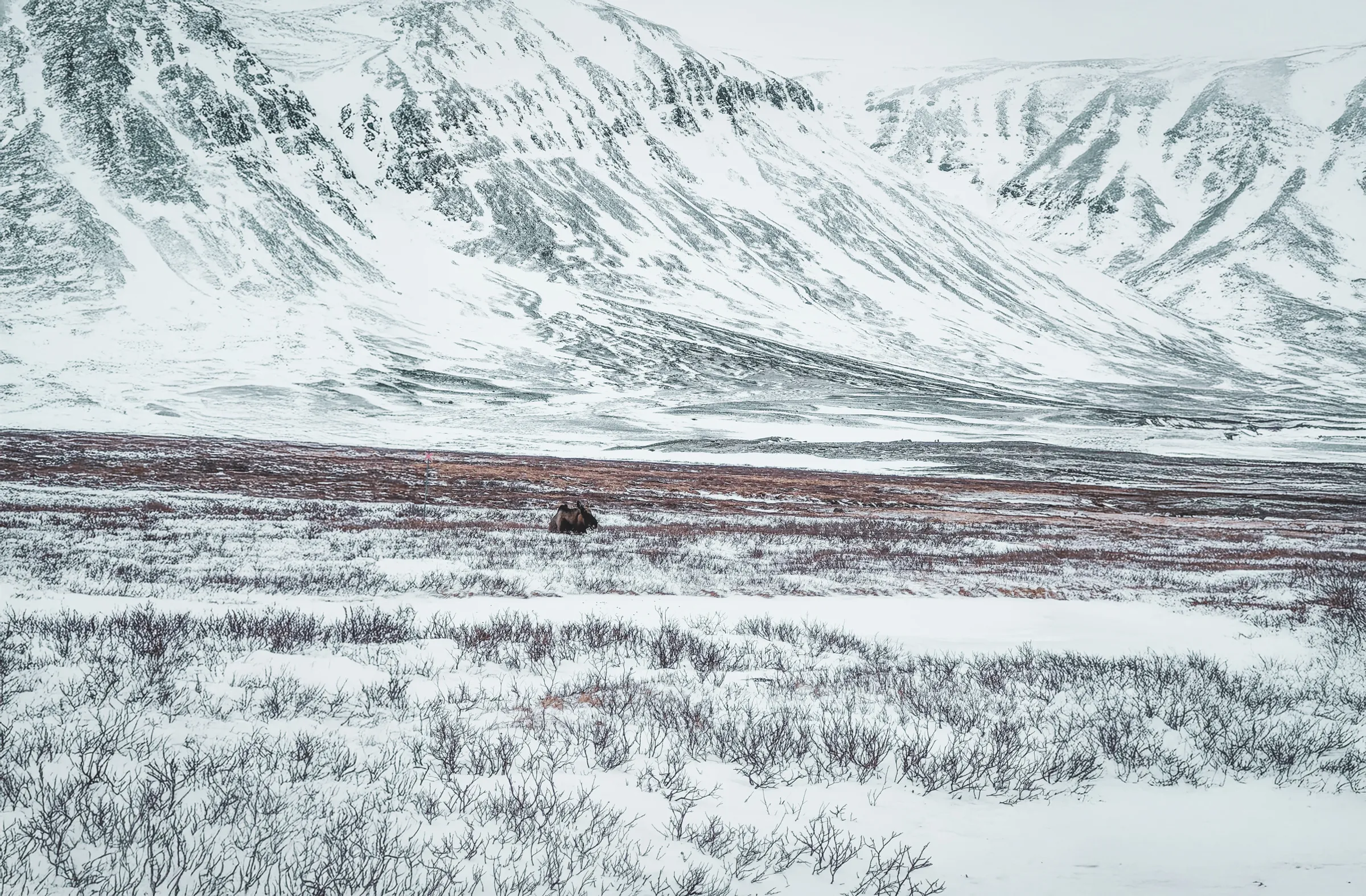 L'immensité enneigée de la Laponie suédoise, avec des montagnes majestueuses en toile de fond.