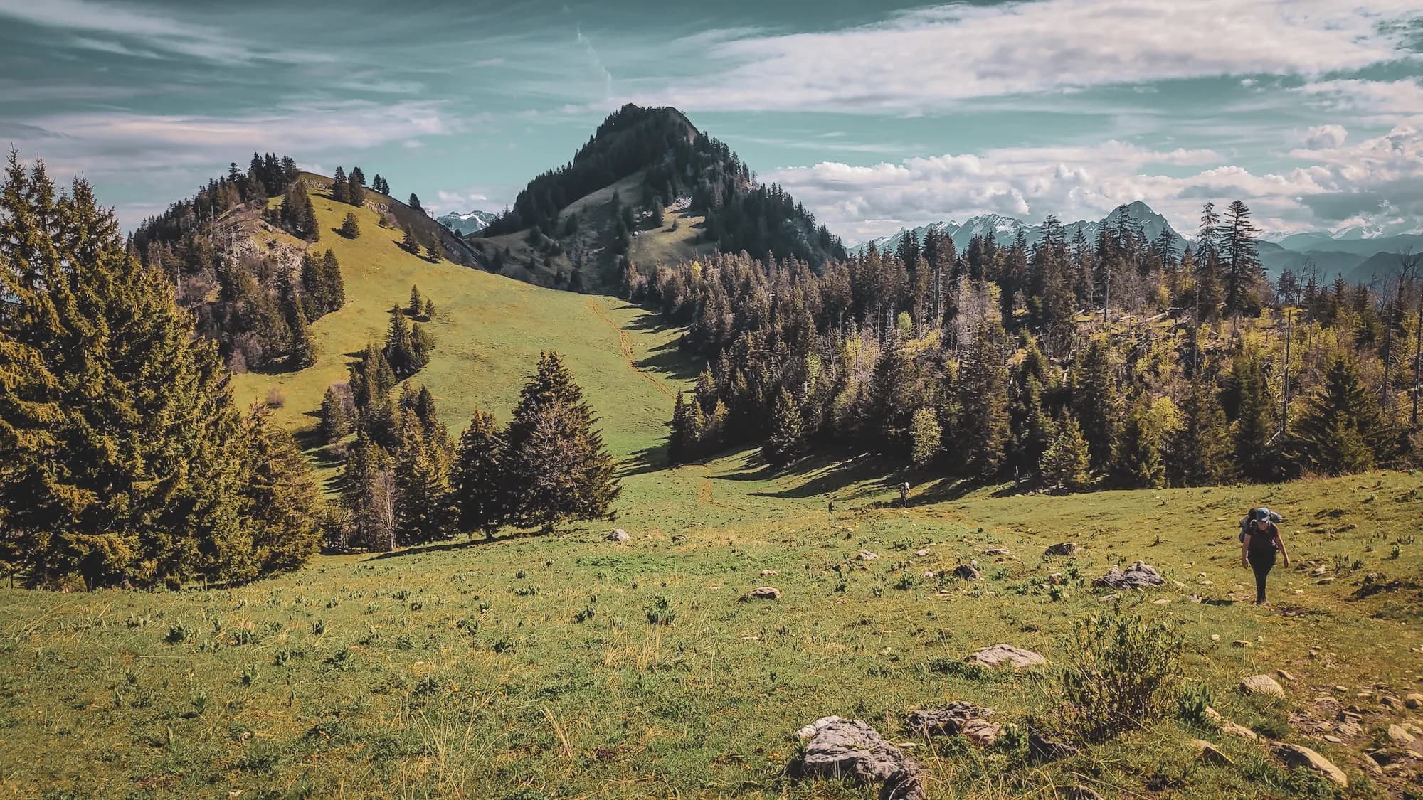 A vast green meadow surrounded by forests, with a majestic peak in the background.