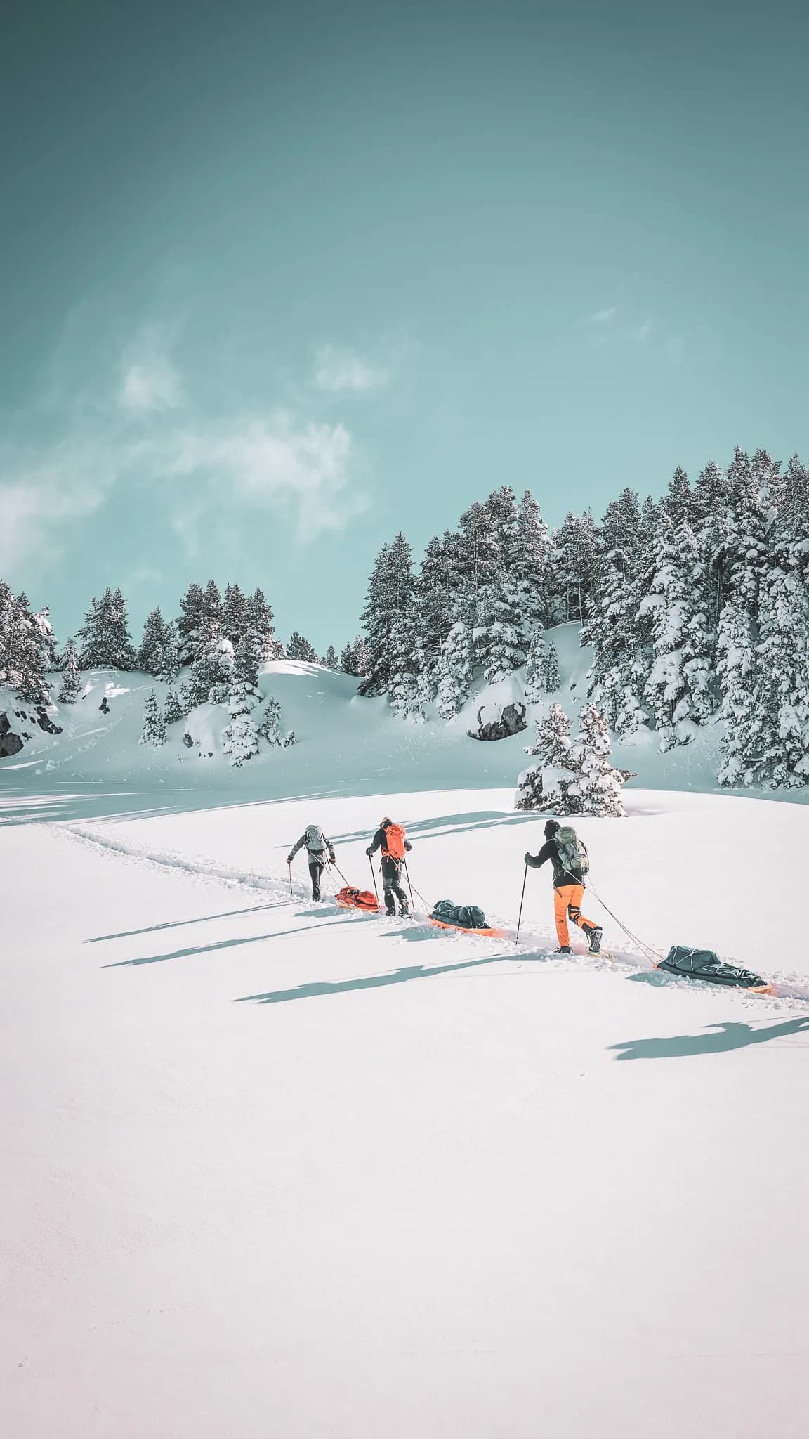 Wild Vercors: snowshoe trek with pulka and tipi nights