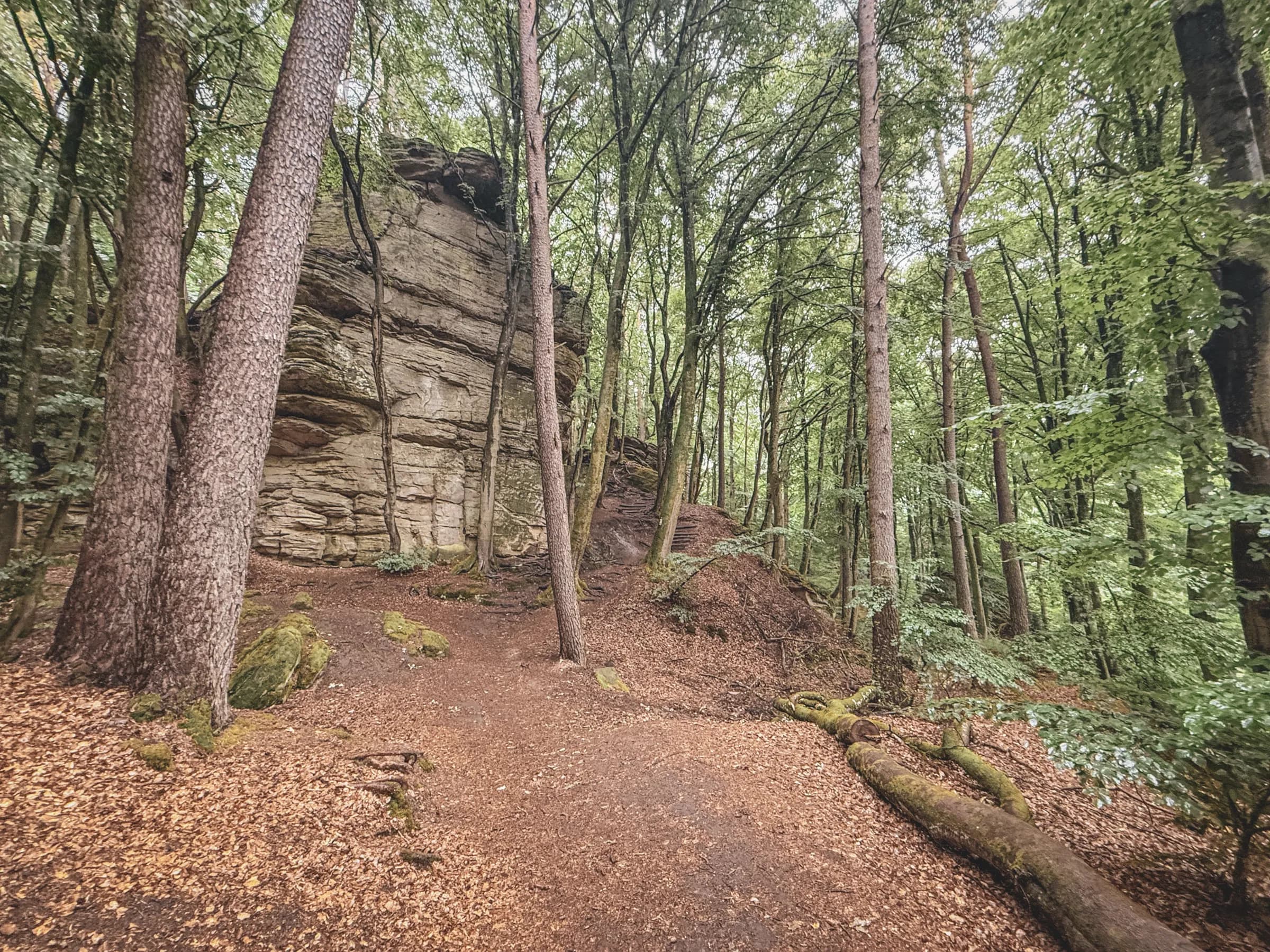 Sentier enchanteur à travers la forêt luxembourgeoise, entouré de rochers majestueux et de verdure.