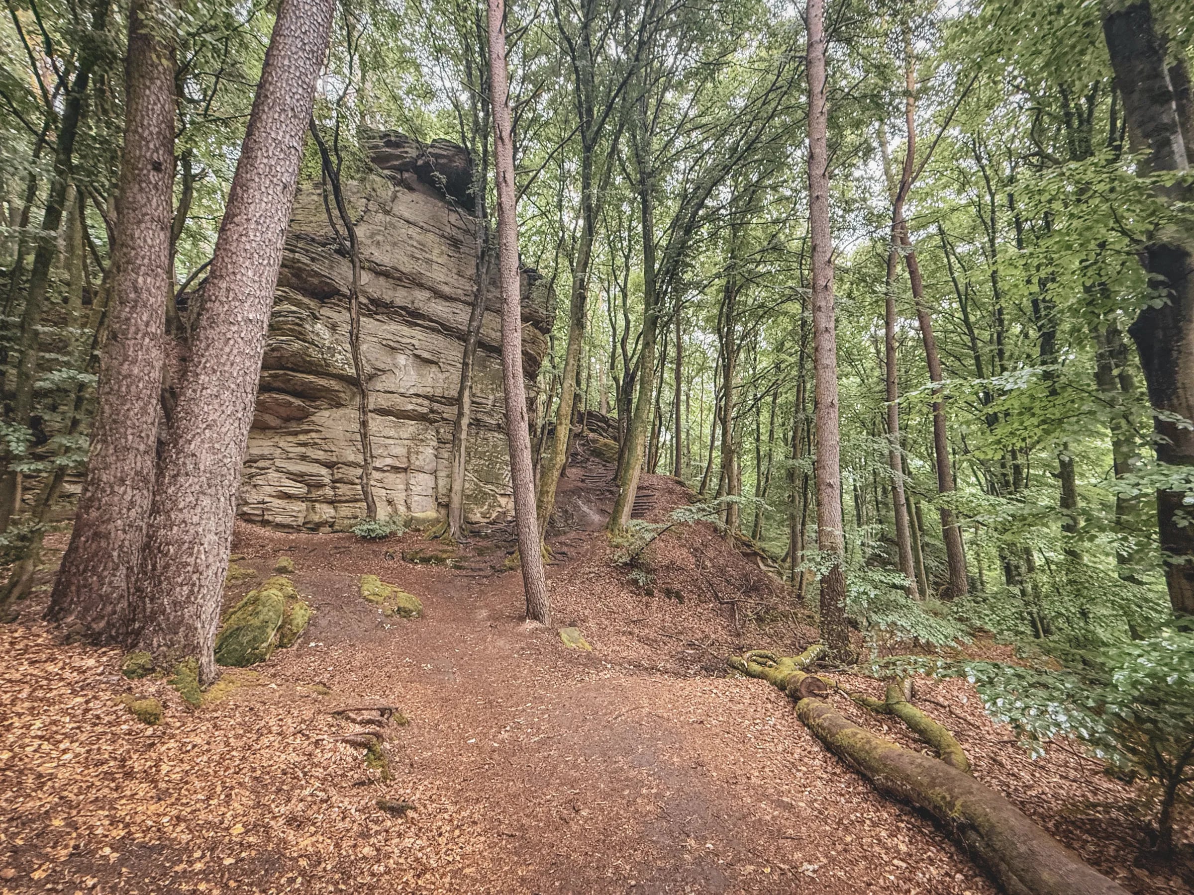 Sentier enchanteur à travers la forêt luxembourgeoise, entouré de rochers majestueux et de verdure.
