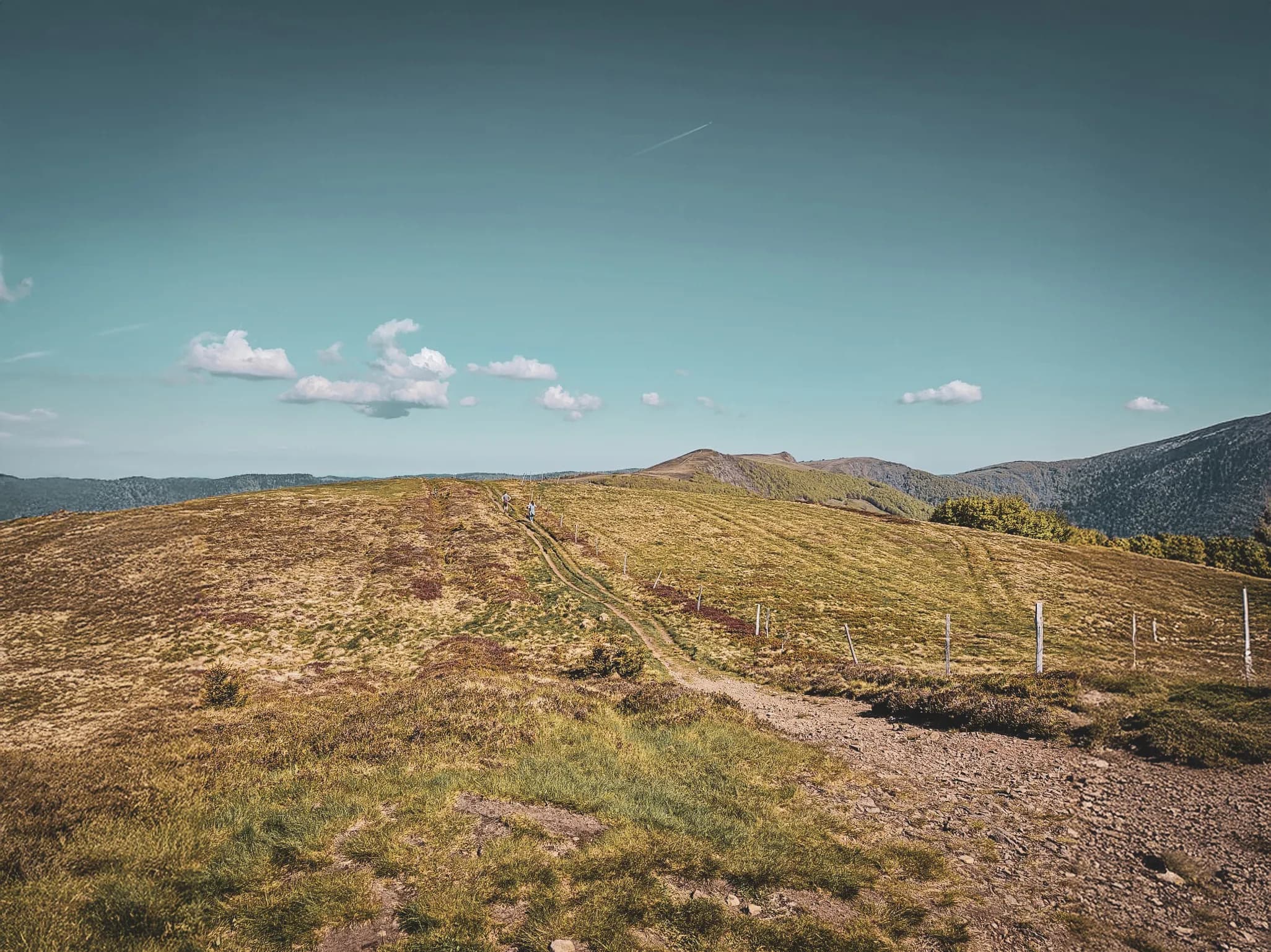 Vastes panoramas des Vosges, sentiers verdoyants et ciel bleu invitant à l'aventure.
