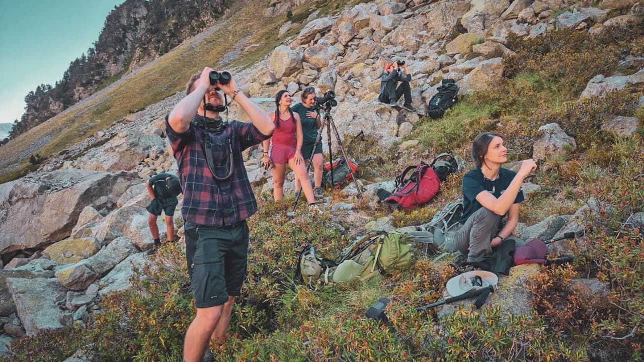 Een groep wandelaars die de fauna observeert in de Hautes-Pyrénées, midden in de natuur.