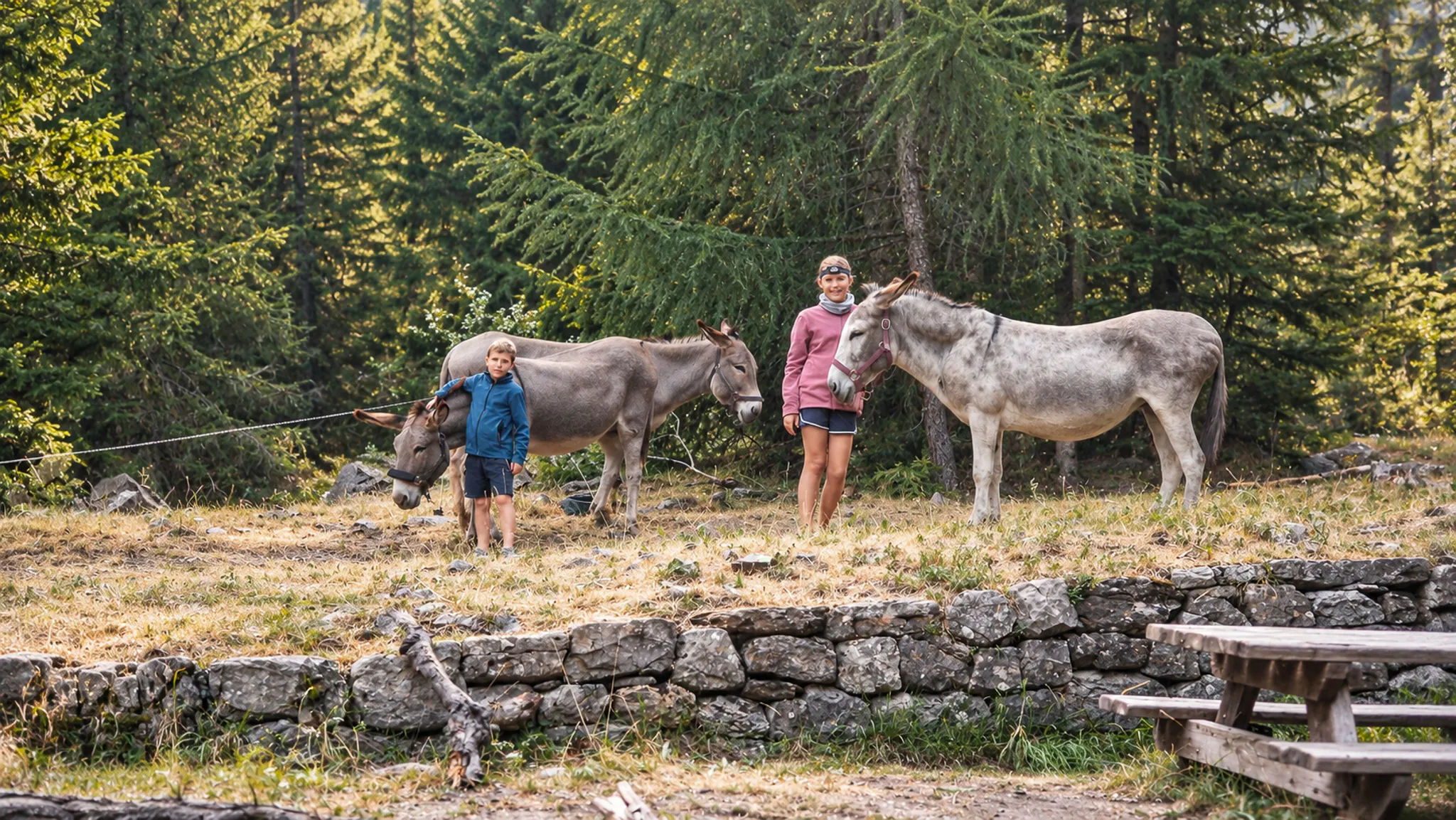 Enfants souriants avec des ânes, entourés de paysages alpins verdoyants. Aventure en nature !