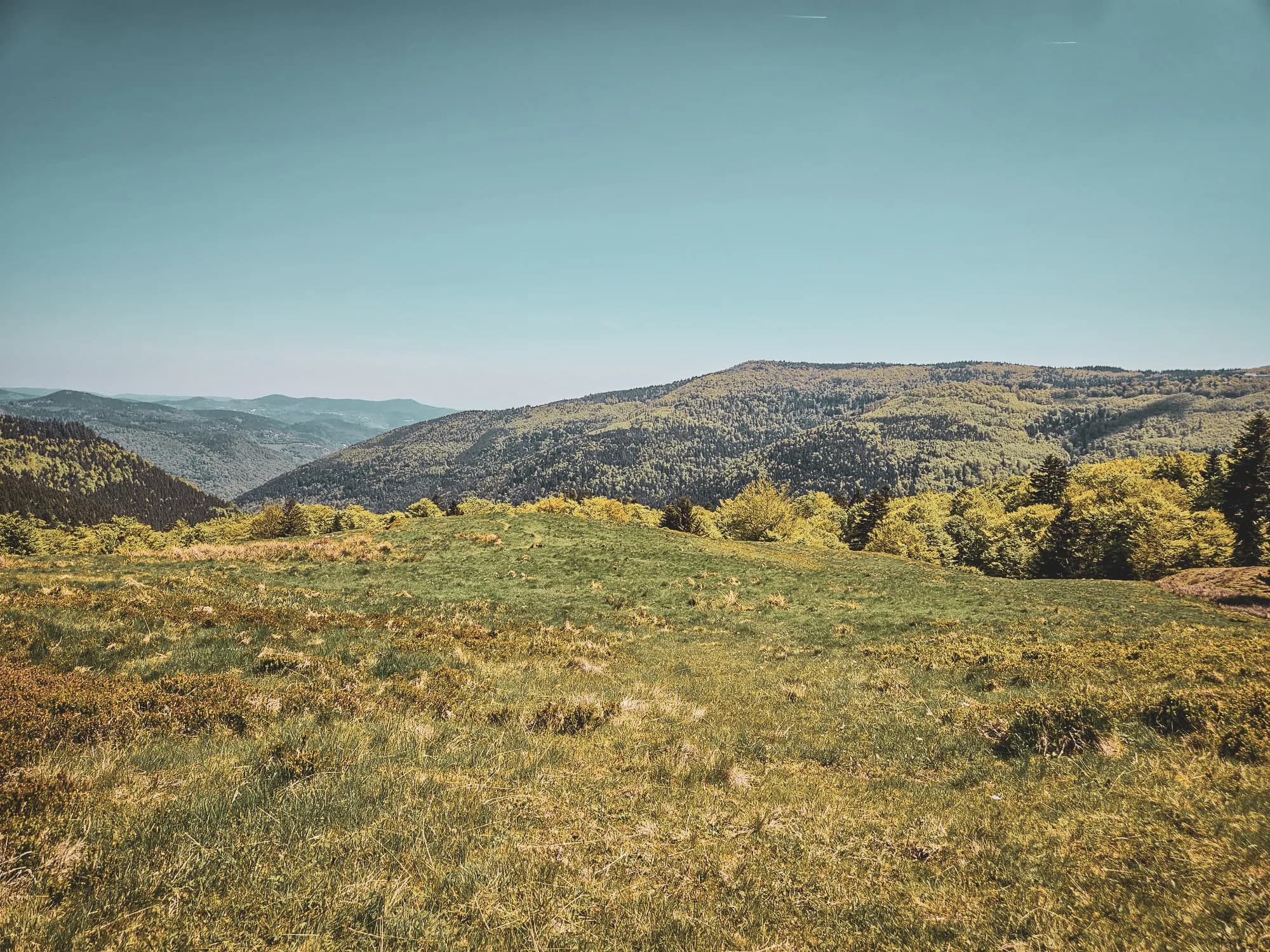Panorama verdoyant des Vosges, entre collines douces et ciel bleu éclatant. Un appel à l'aventure !