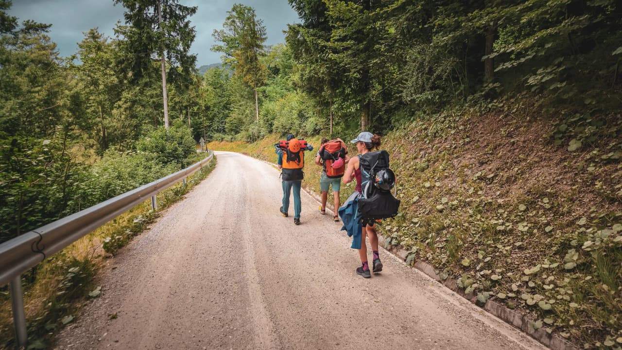 A group of adventurers walk along a forest track in Slovenia, colourful rucksacks ready to explore.