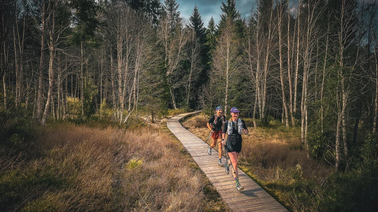 Deux coureurs sur un chemin en bois, entourés de forêts verdoyantes, explorant les Vosges.