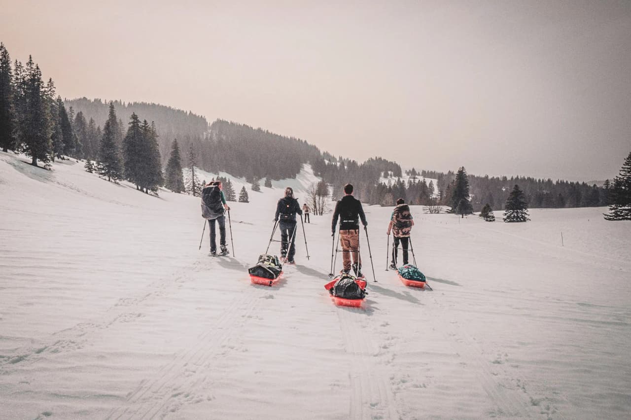 A group of hikers on snowshoes with pulkas, crossing a snow-covered landscape in the Jura.