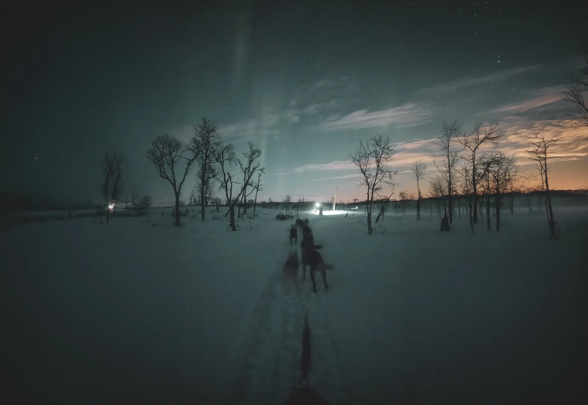 A night-time dog-sledding expedition across the snow-covered tundra, illuminated by the stars.