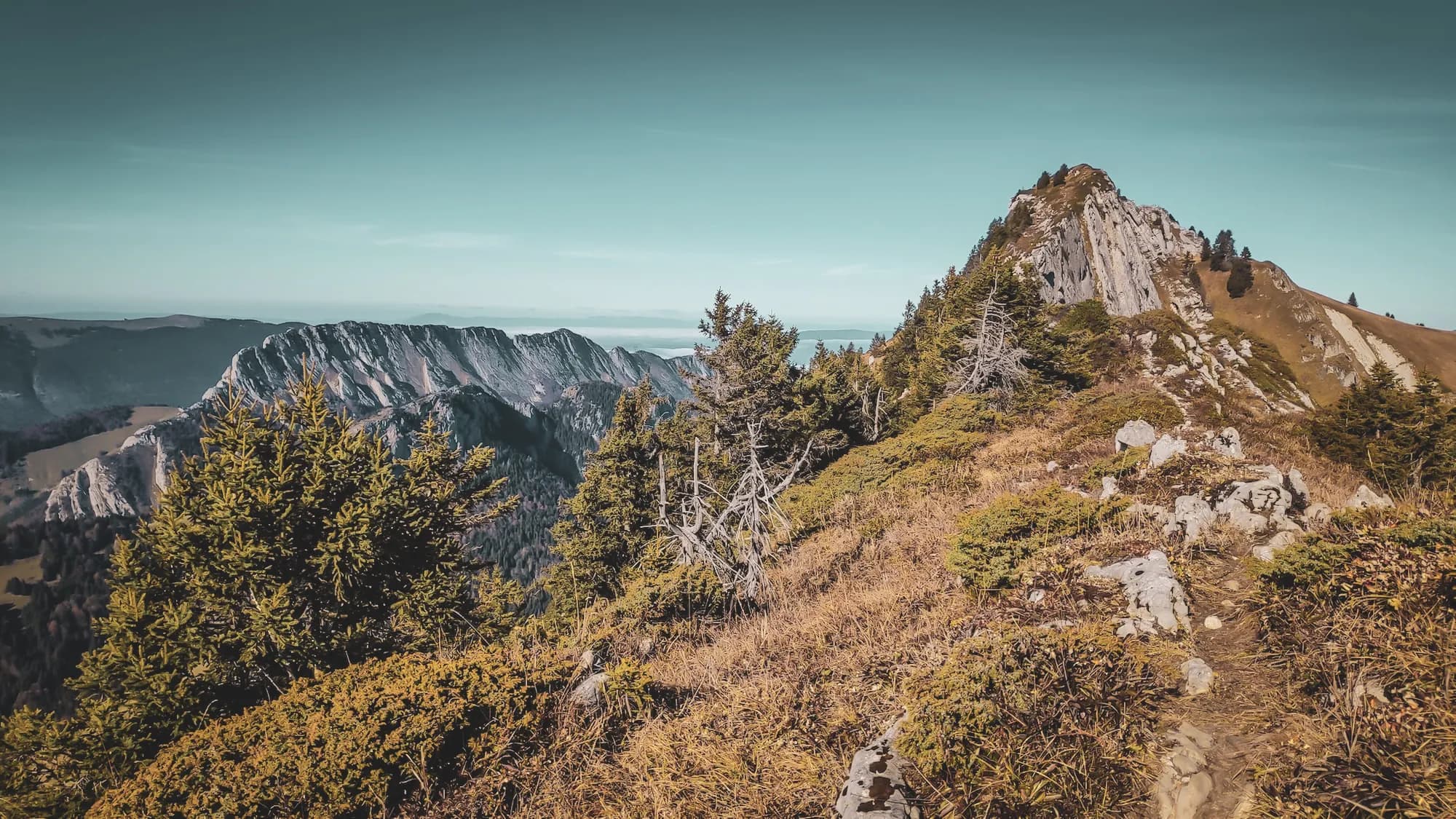 Panoramic views of the Hautes Bauges, majestic peaks and lush green landscapes invite you to escape.