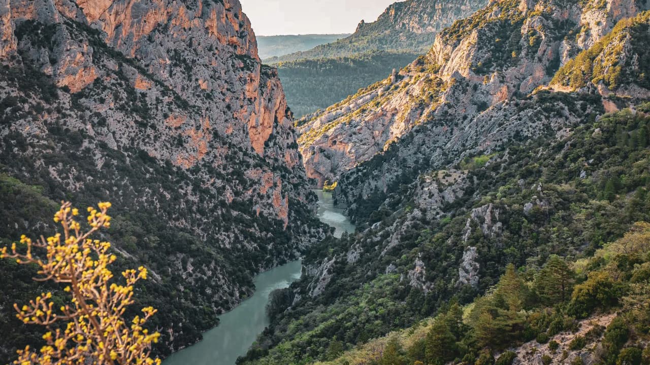 Panoramic view of the Gorges du Verdon, combining majestic cliffs and a winding river.
