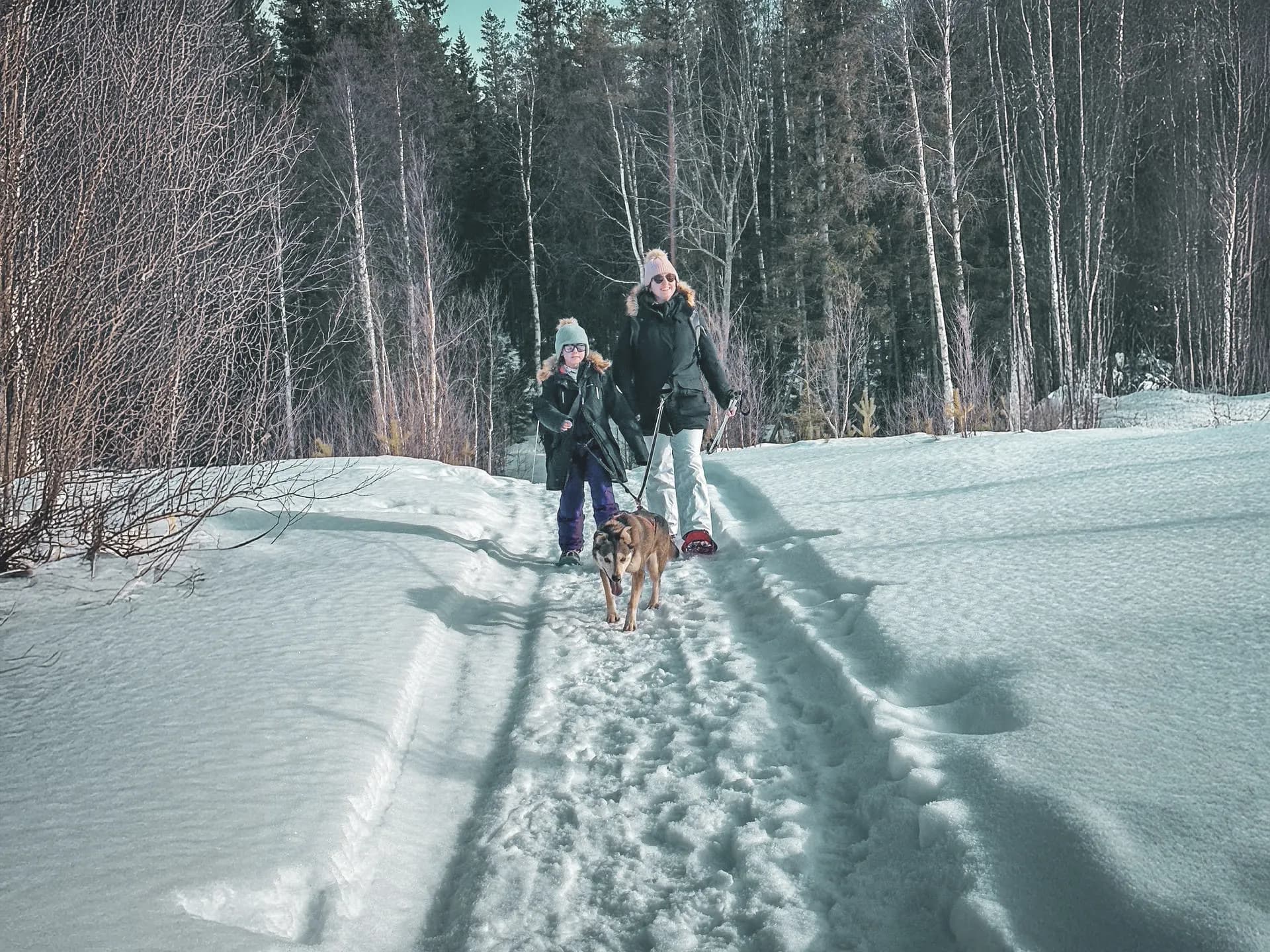Une mère et son enfant marchent dans la neige, accompagnés d'un chien, sous les sapins en Laponie.