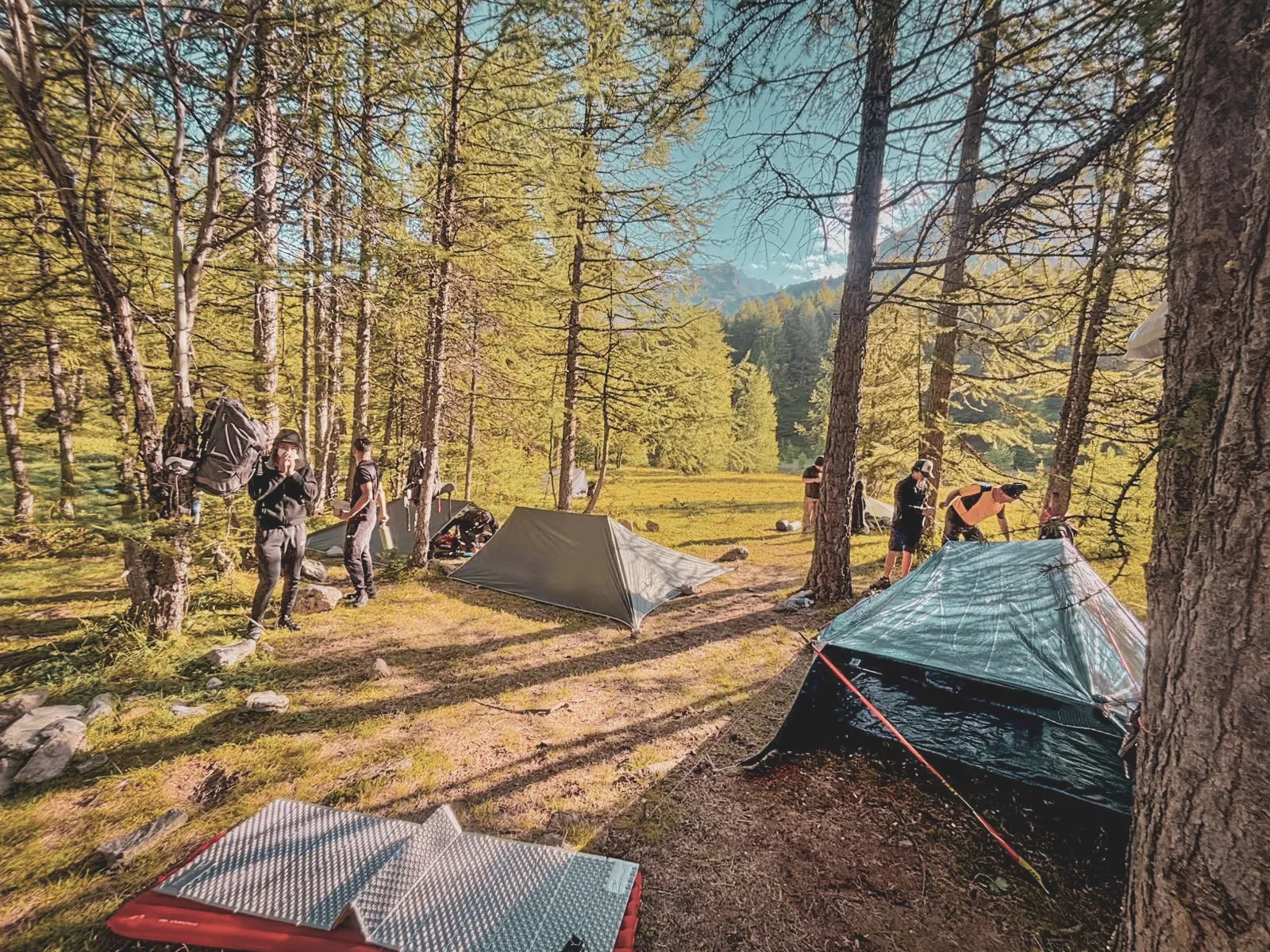 Groupe en pleine nature, tentes montées, ambiance conviviale au pied des Alpes.