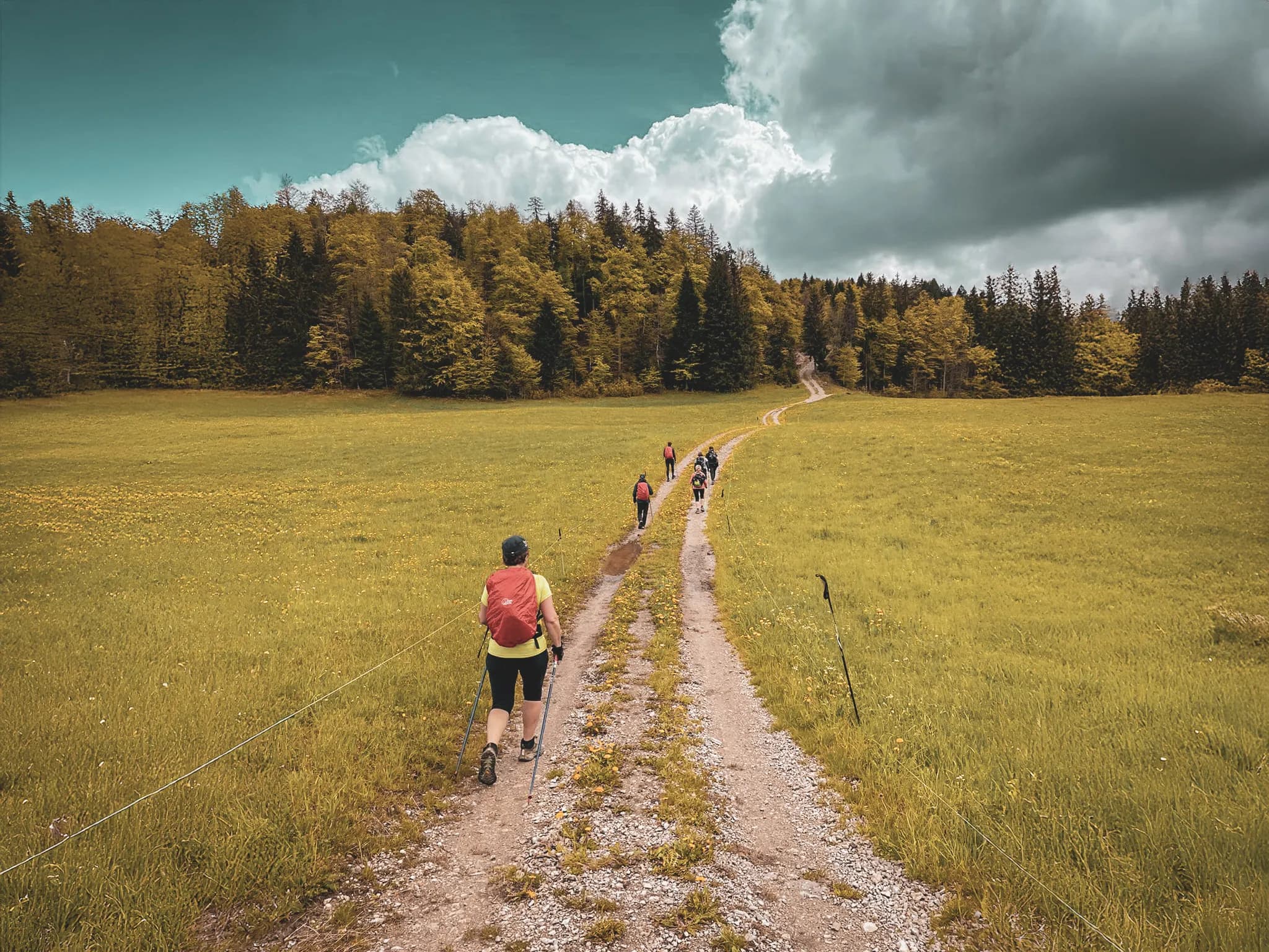 Een groep wandelaars op een schilderachtig pad omgeven door groen in de Jura.