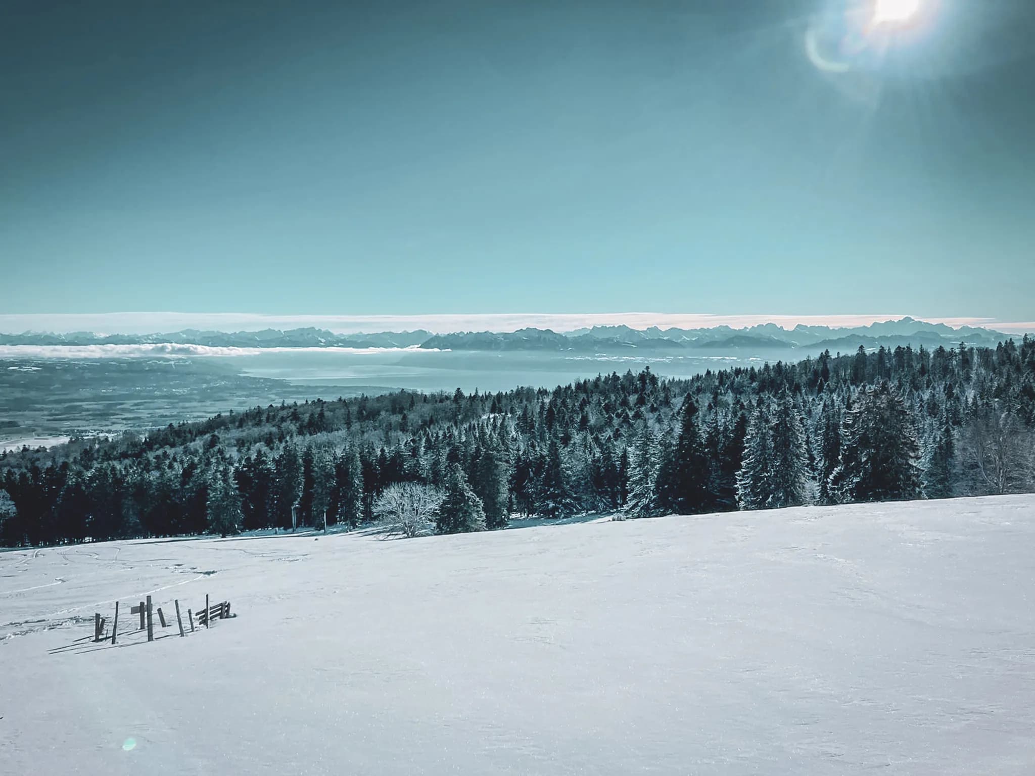 The snow-covered landscape of the Jura, lush green forests and majestic mountains under a luminous sky.
