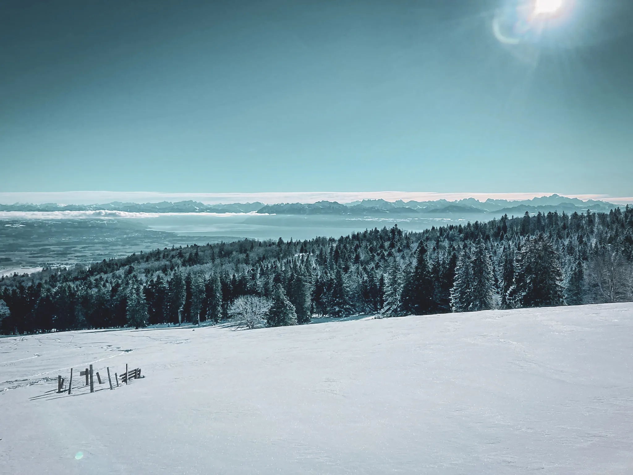 The snow-covered landscape of the Jura, lush green forests and majestic mountains under a luminous sky.