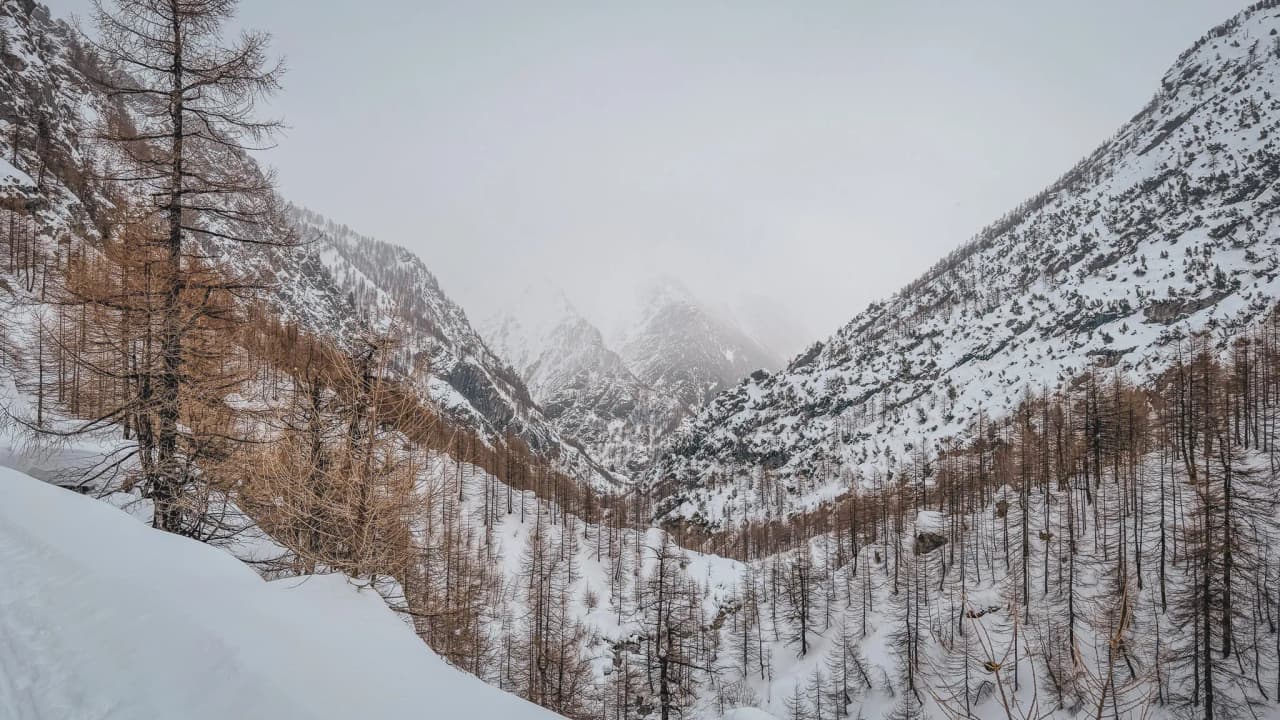 A snow-covered alpine landscape, with majestic slopes and bare trees, inviting adventure.