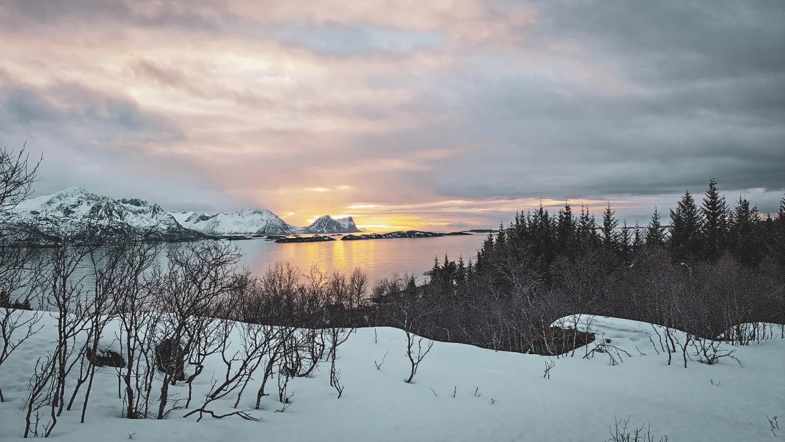 Besneeuwd landschap van de Senja Fjorden