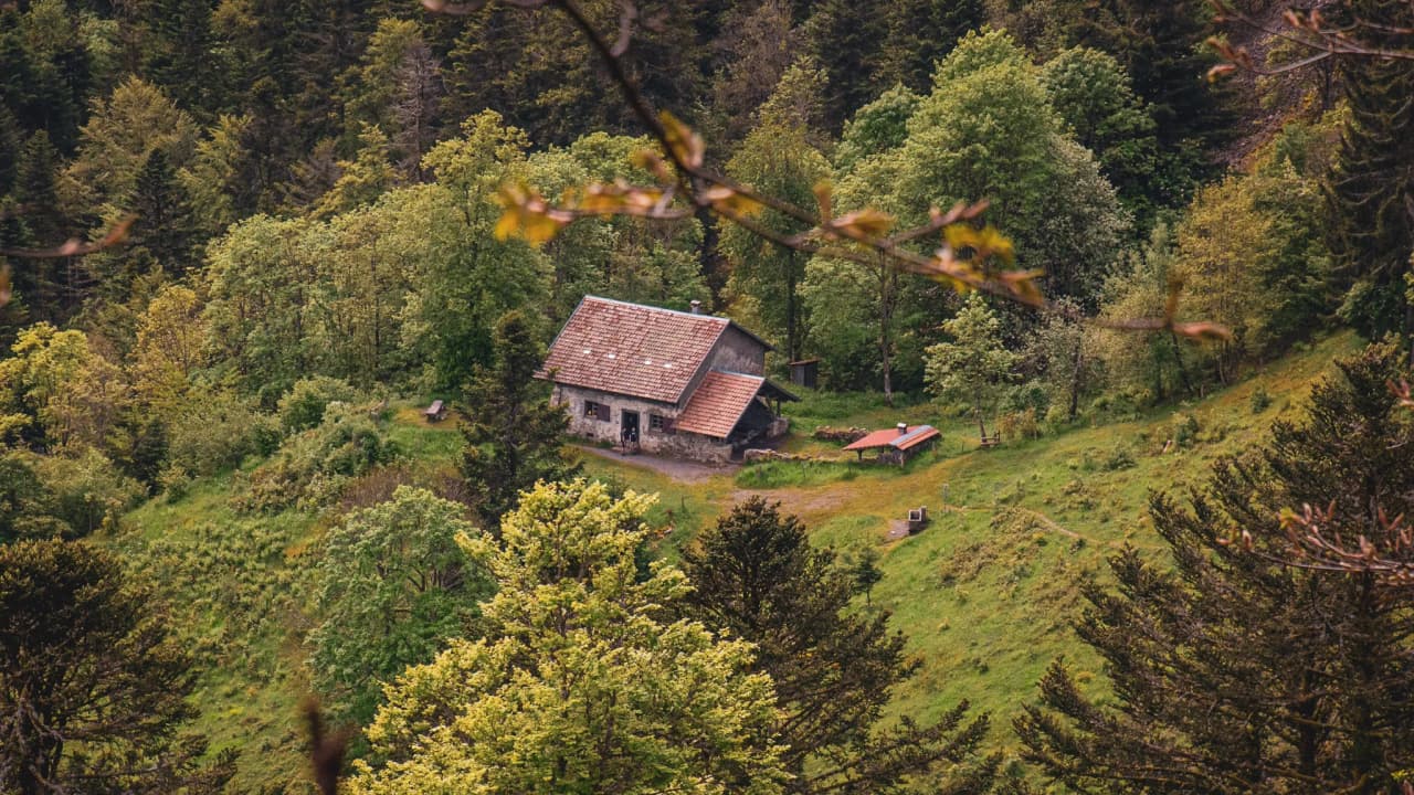 Un chalet pittoresque entouré de verdure luxuriante dans les Vosges, invitant à l'évasion.
